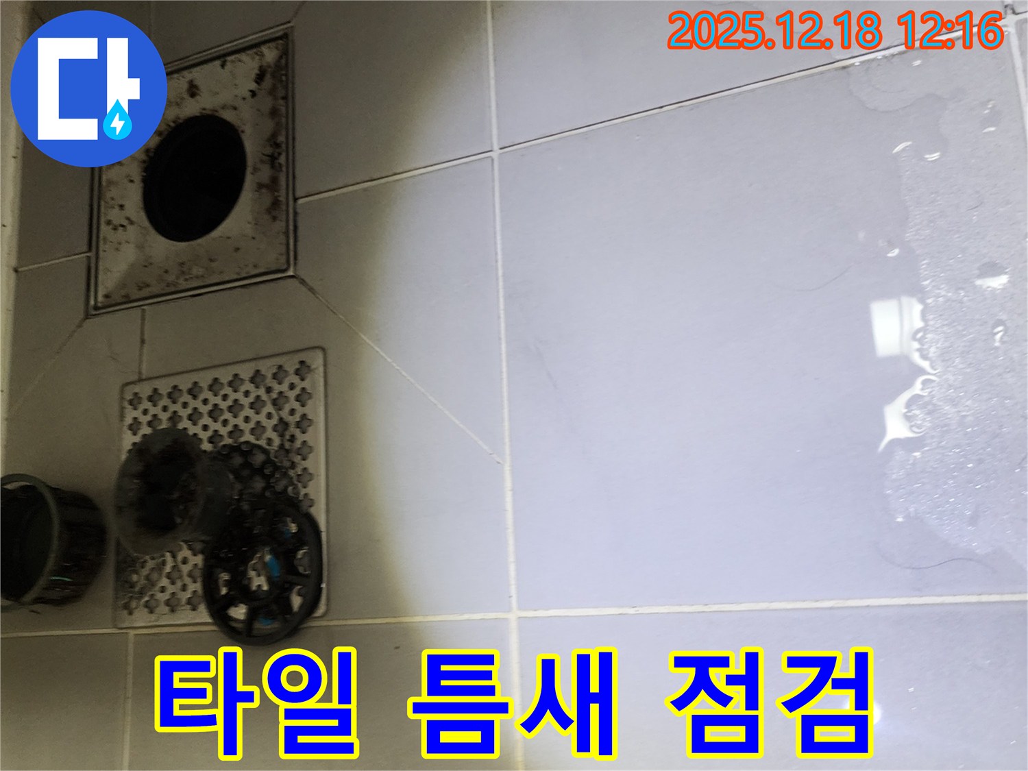 포천시 영북면 가채리 욕실 바닥 타일 틈새 누수 가능성 집중 점검 - 누수 전문가가 타일 틈새를 집중적으로 점검하여 누수 원인을 찾습니다.