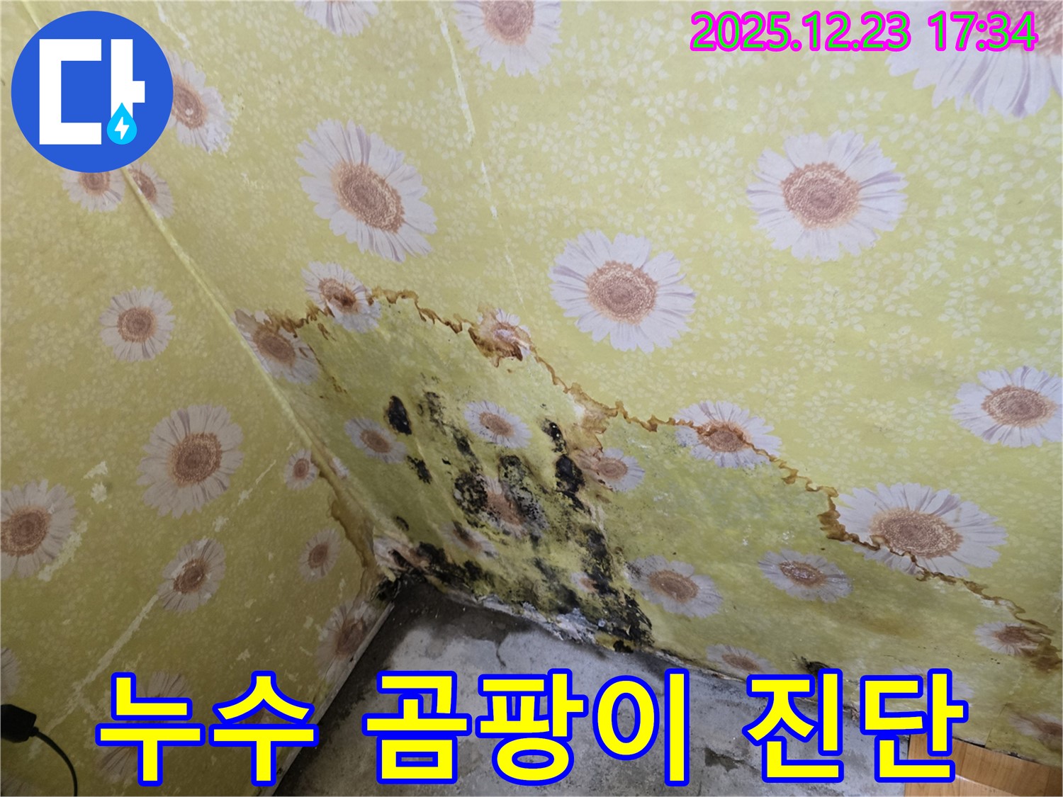 동두천 생연동 누수 및 곰팡이 - 꼼꼼한 누수 진단으로 문제 해결
