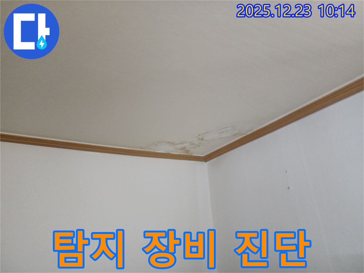 고암동 아파트 천장 누수 - 누수 탐지 전문 장비 사용, 정확한 진단