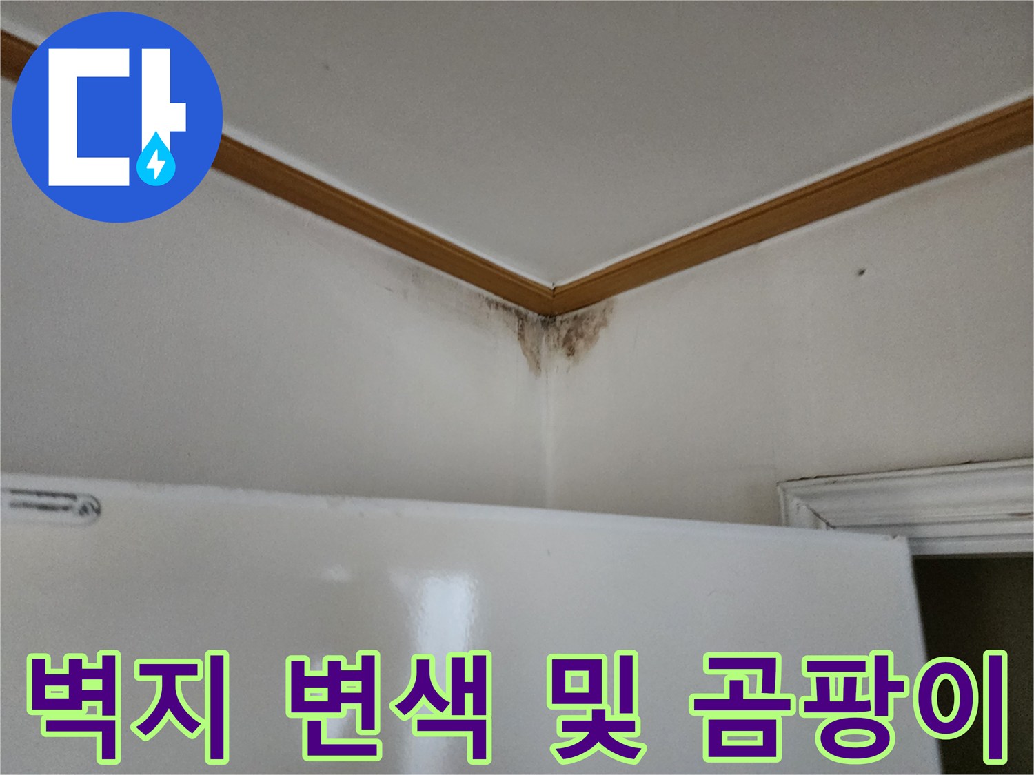 천장 몰딩 아래쪽-누수로 인해 발생한 어두운 곰팡이 얼룩