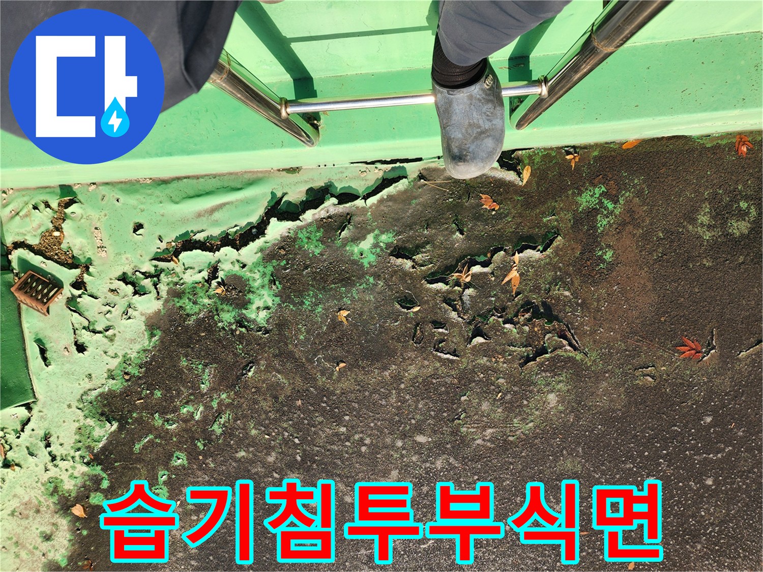 누수로 인해 갈라지고 부풀어 오른 녹색 도색 구역