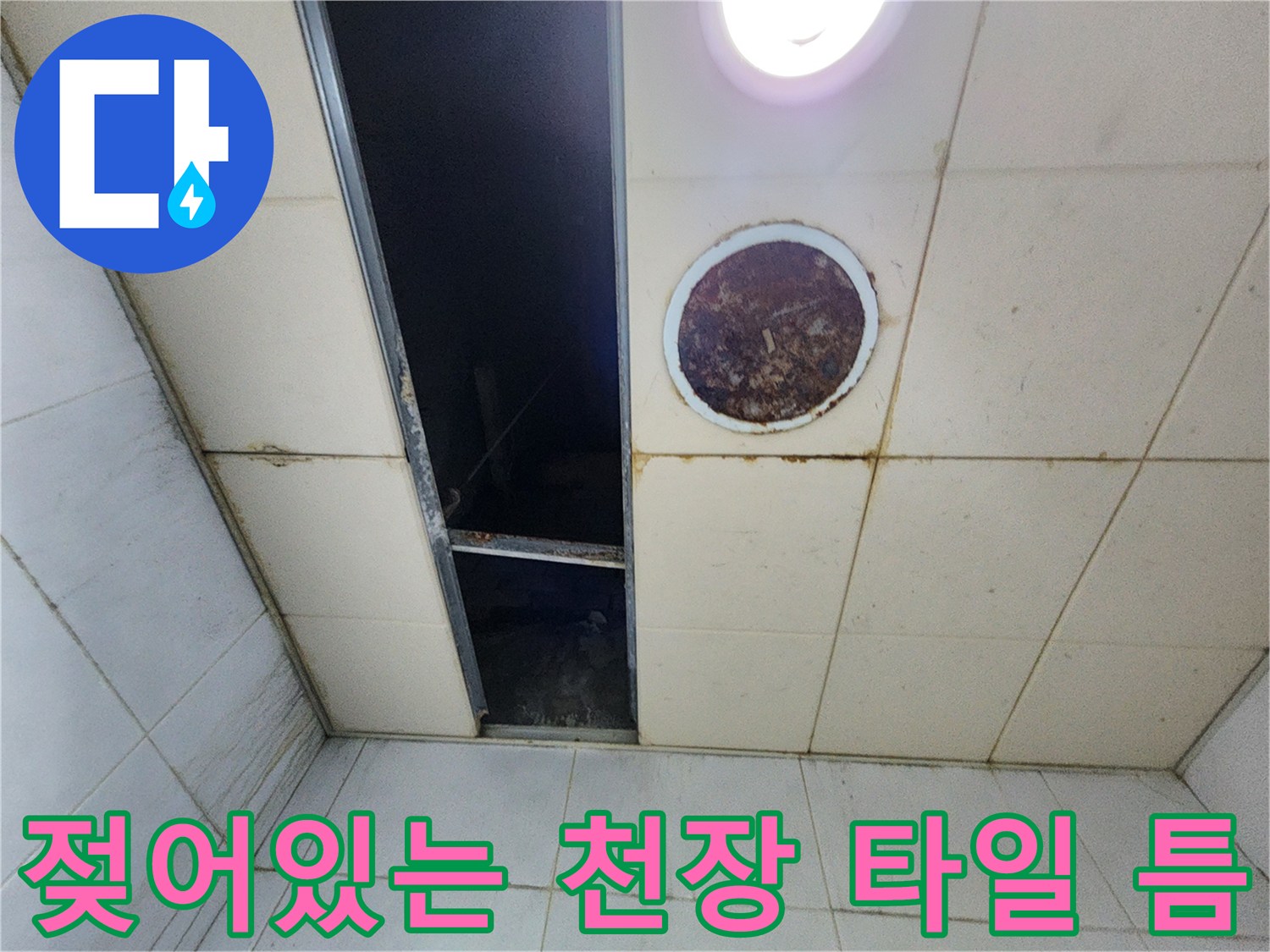물이 스며든 듯한 어두운 타일 틈새와 배관 주변부