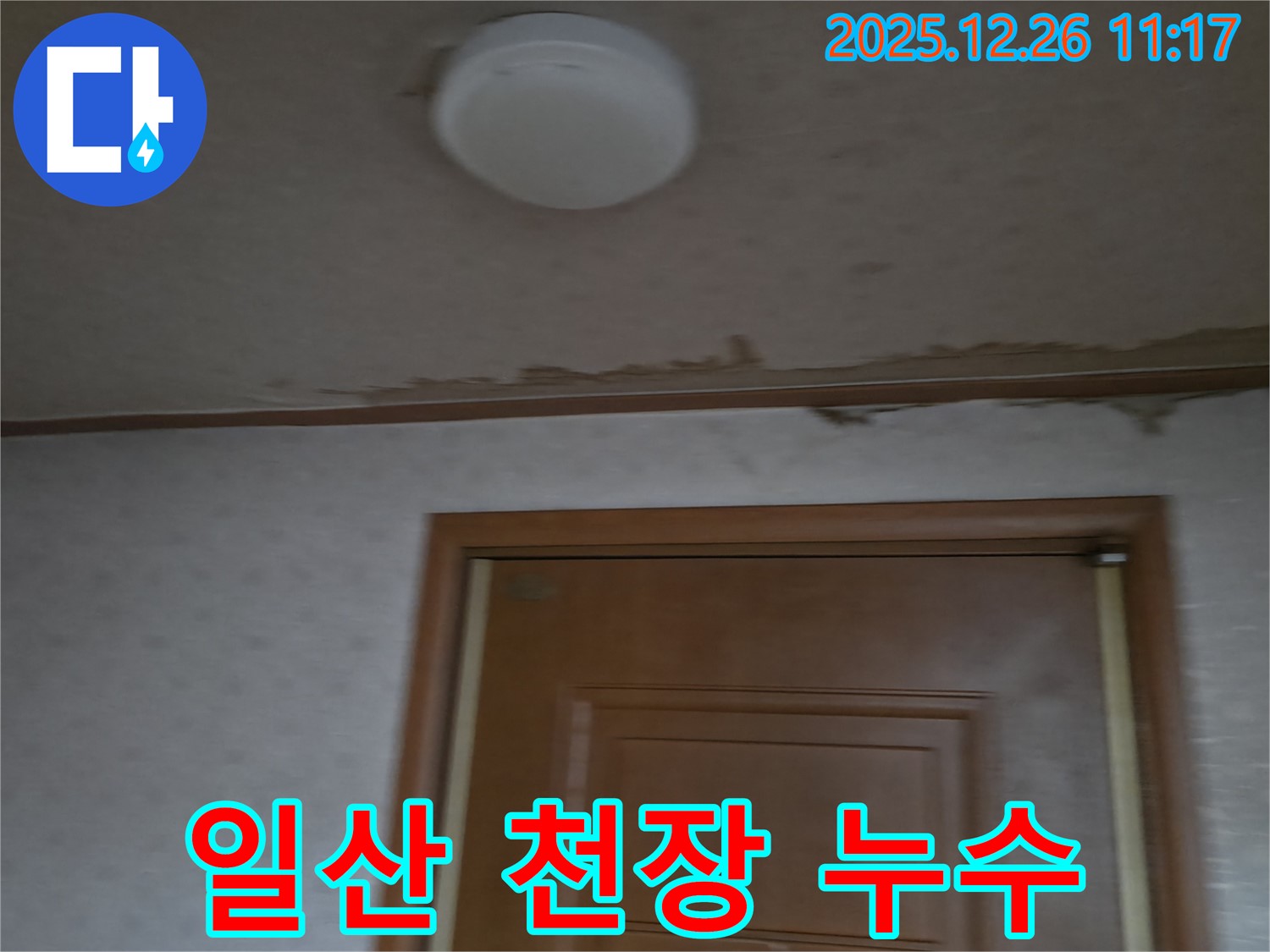 일산 천장 누수 - 누수 원인 진단부터 완벽한 해결까지 책임지는 누수탐지 전문