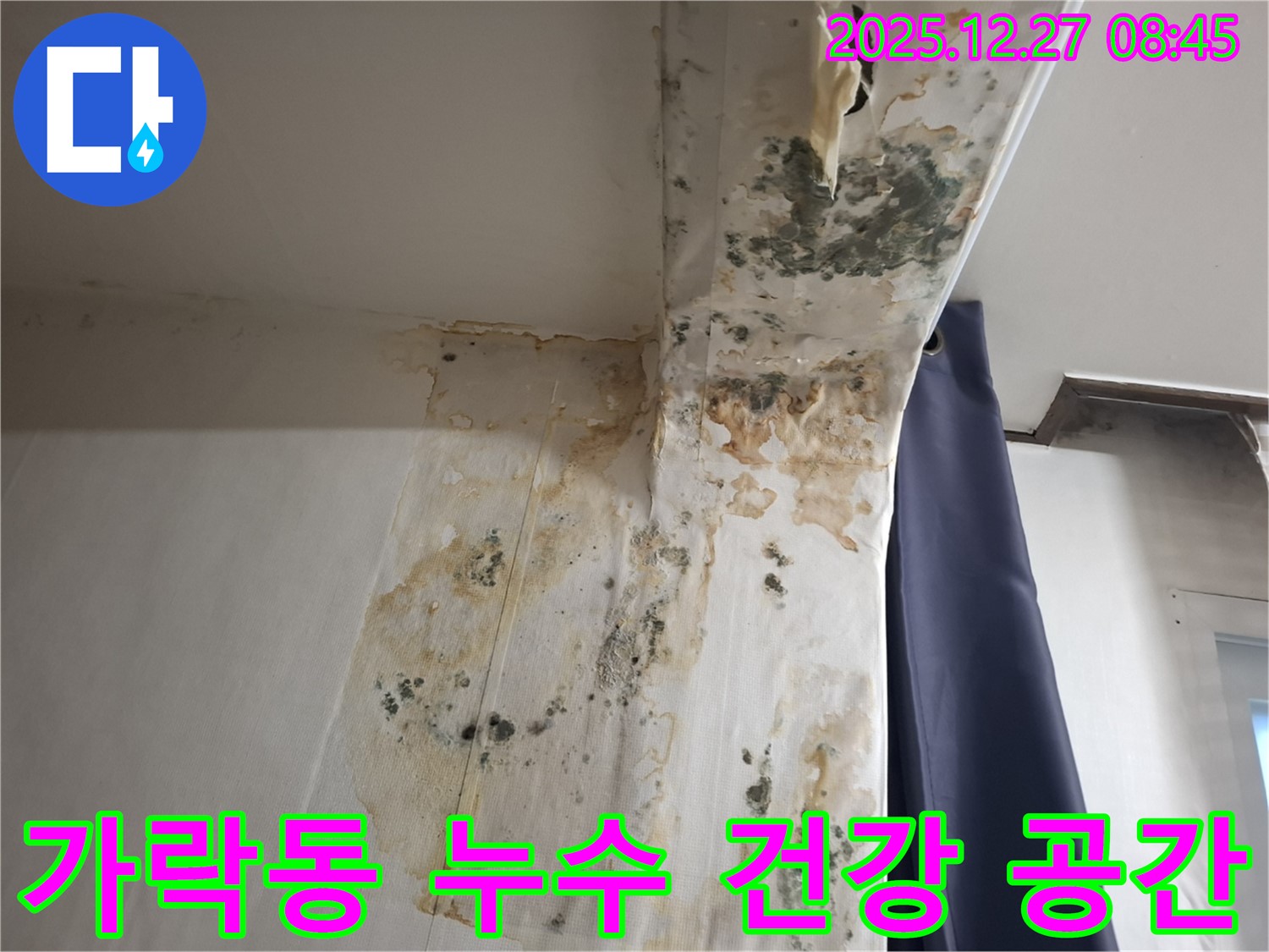 가락동 누수 현장 - 곰팡이 문제 해결 및 건강한 실내 공간 만들기, 누수탐지 전문가의 건강한 집 만들기