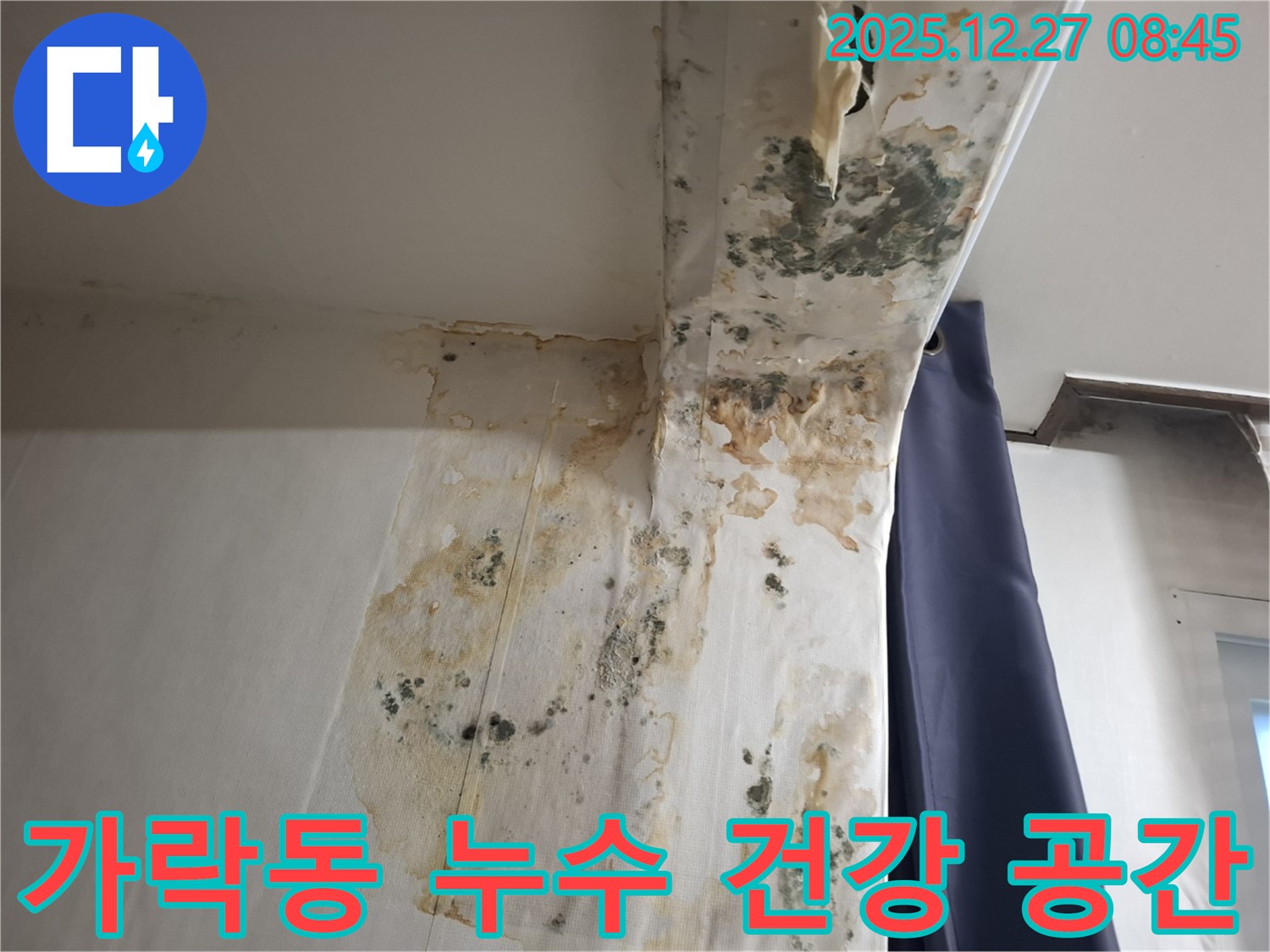 가락동 누수 현장 - 곰팡이 문제 해결 및 건강한 실내 공간 만들기, 누수탐지 전문가의 건강한 집 만들기