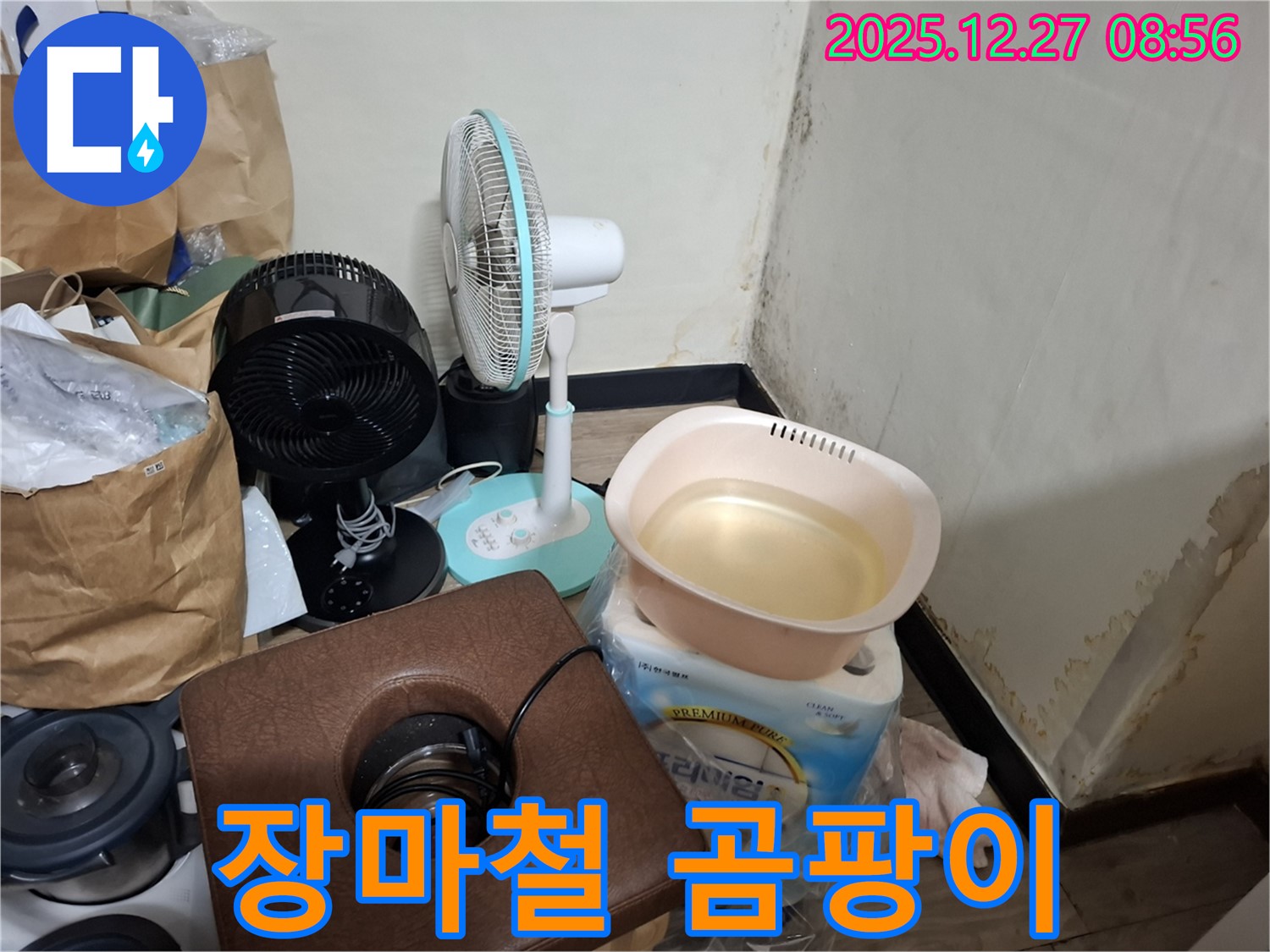 삼전동 누수 현장 - 장마철 습기와 누수가 만나 곰팡이가 더욱 심하게 번식한 모습입니다.