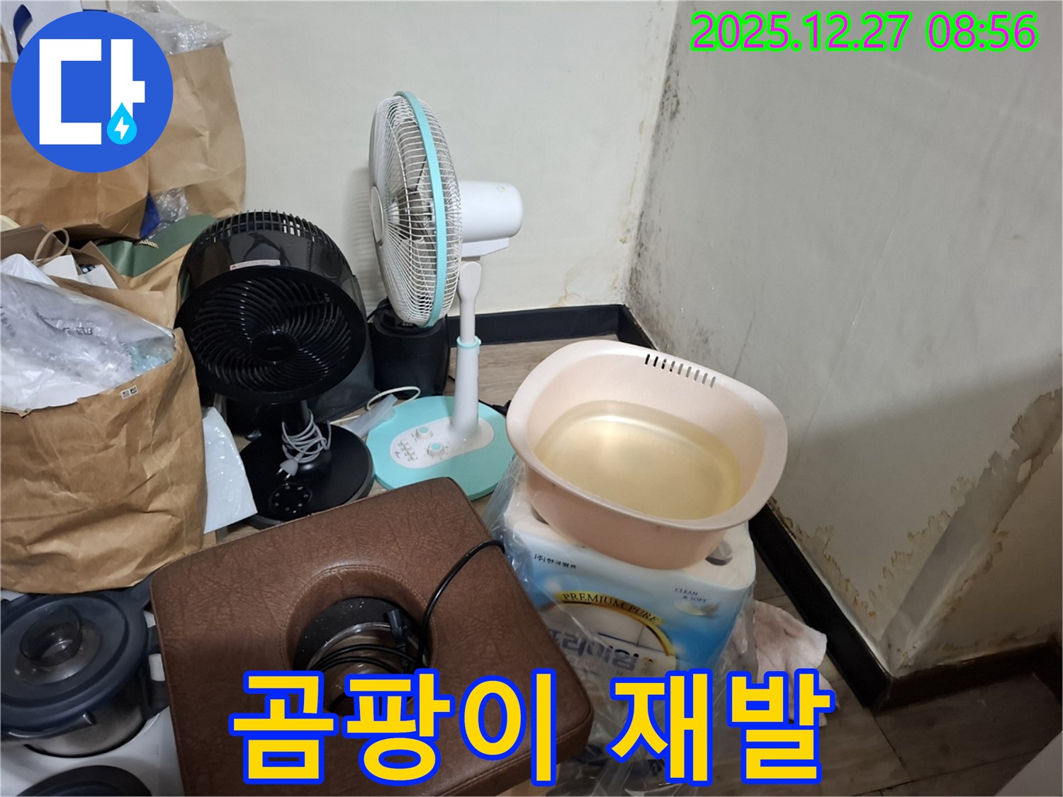 송파구 삼전동 누수 현장 - 곰팡이, 제거 후에도 다시 생길 수 있나요? - 재발 방지를 위한 꼼꼼한 시공과 관리가 중요합니다.