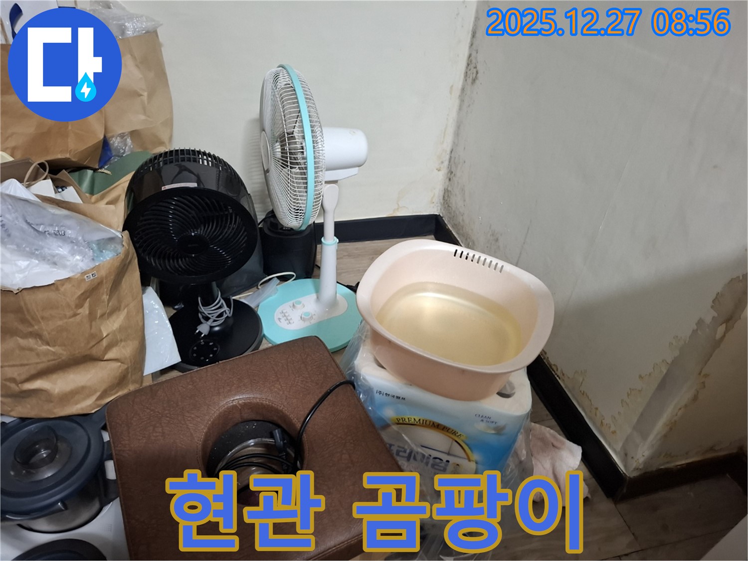 송파구 삼전동 누수 현장 - 현관 곰팡이, 신발에서 냄새가 나는 것 같죠? - 현관도 꼼꼼하게 관리해야 합니다.