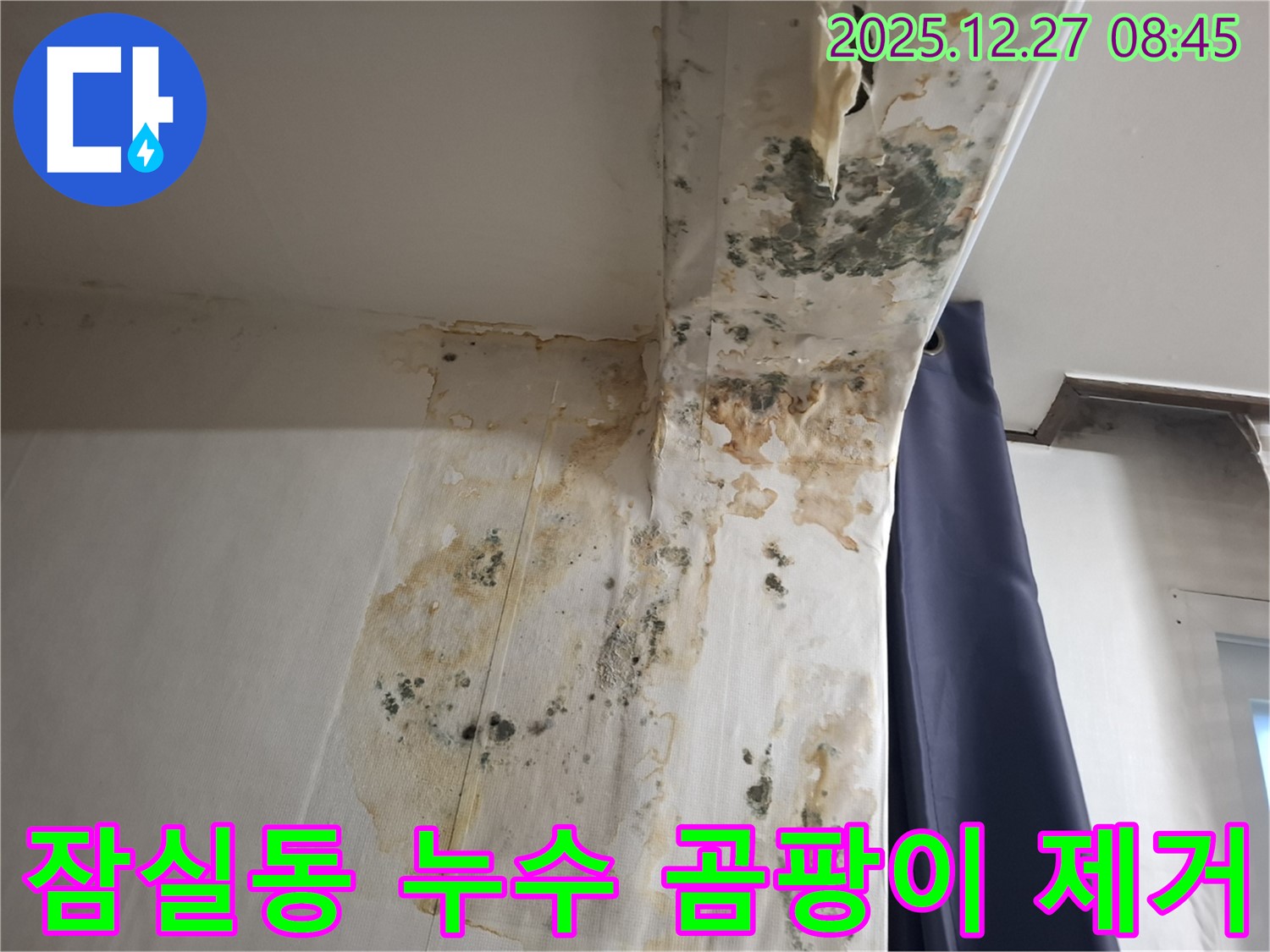 잠실동 누수 현장 - 곰팡이 제거 후 깨끗해진 벽, 누수탐지 전문가의 시공 과정