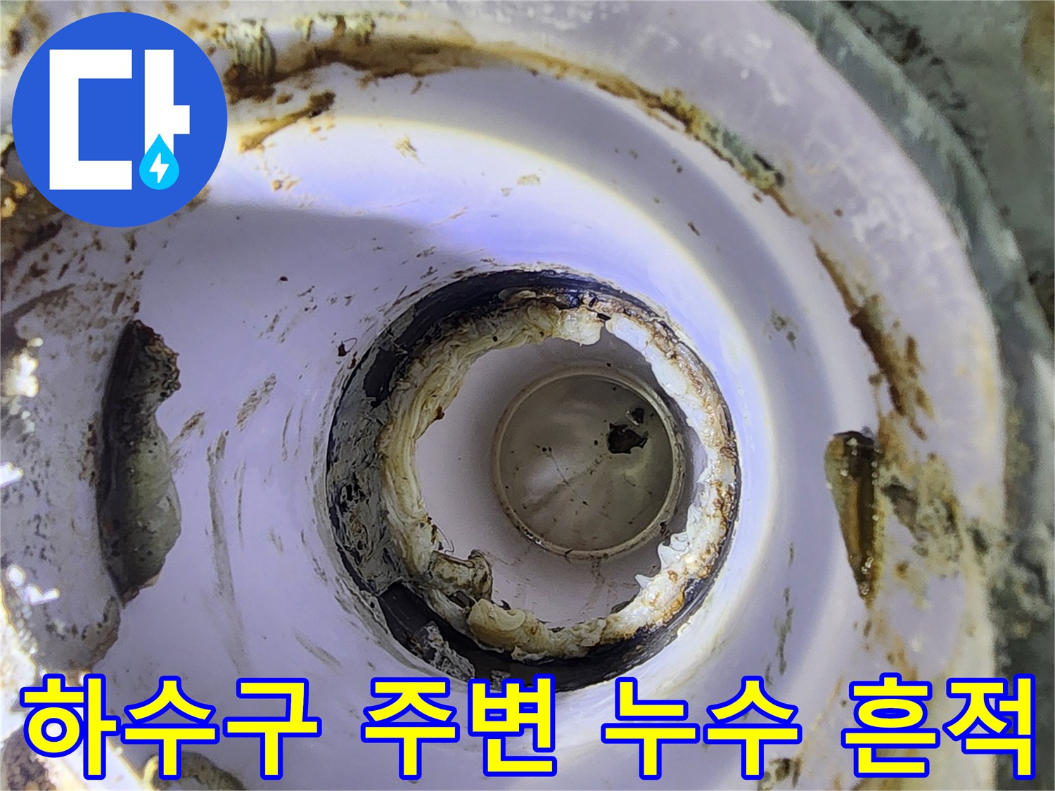 욕실 하수구 배관 주변에 물이 스며든 흔적과 오염된 상태입니다.