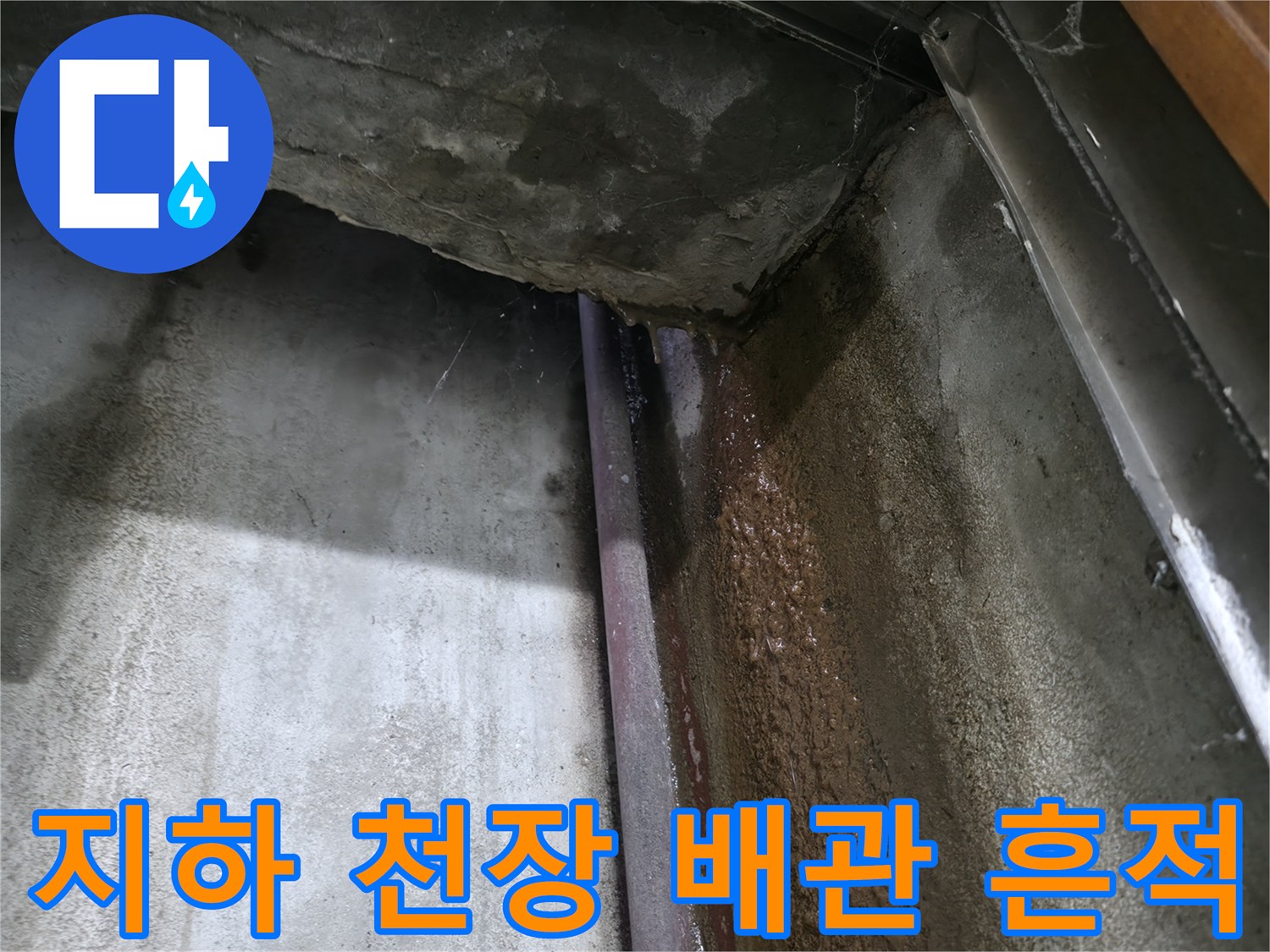 용인 수지구-지하 천장 콘크리트 사이로 스며든 물샘 흔적