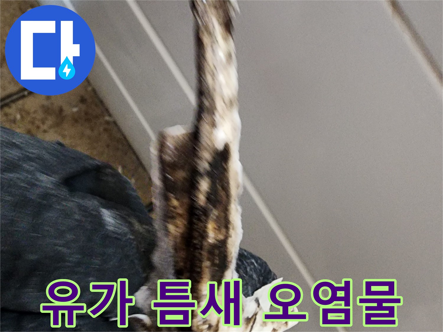 배수구-주변의-오염된-찌꺼기와-이물질-상태