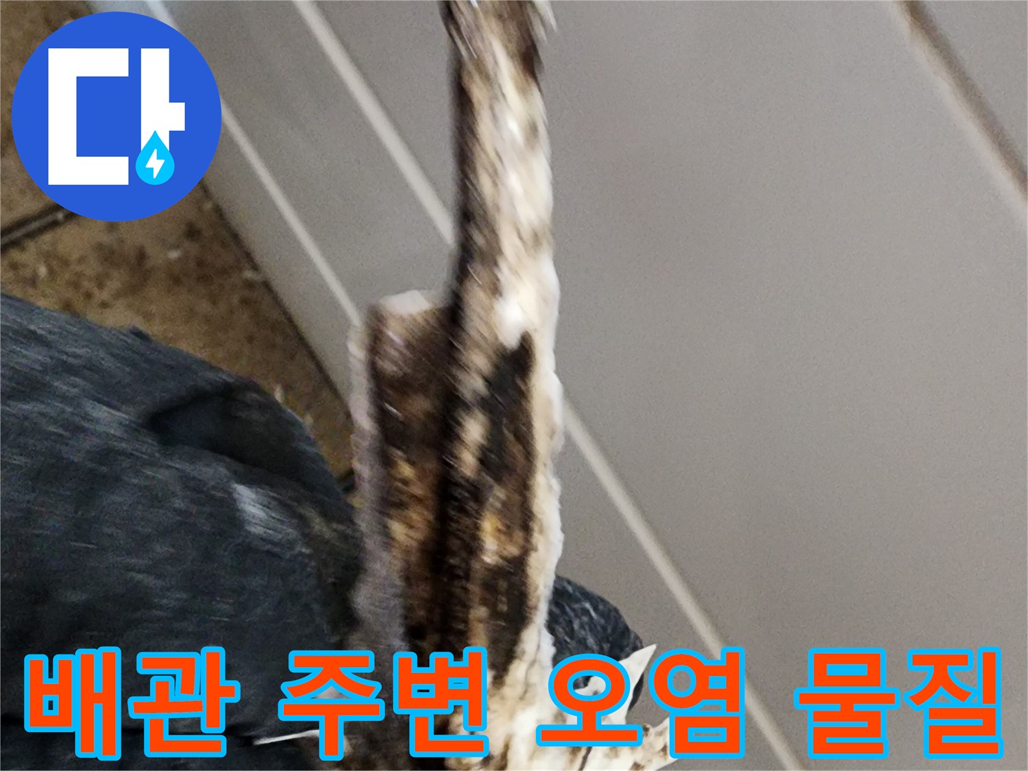 배수구-틈새에-낀-머리카락과-오염물을-근접 촬영한-사진