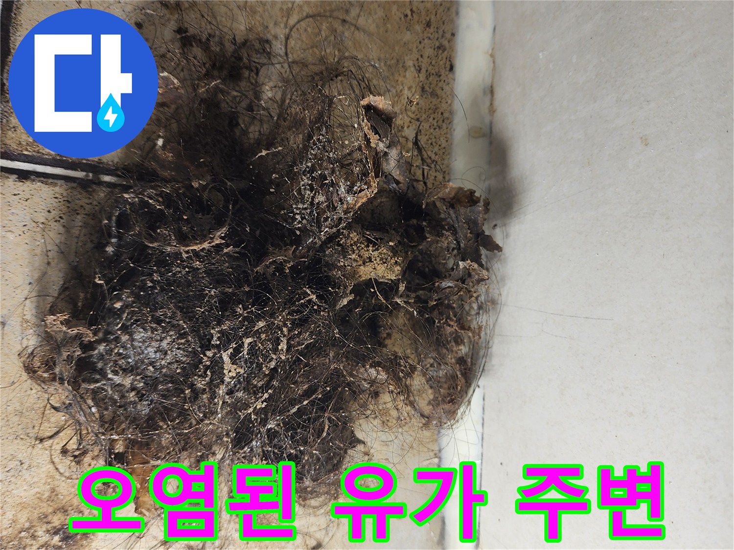 배수구 하부의 머리카락과 오염물 정체 현상