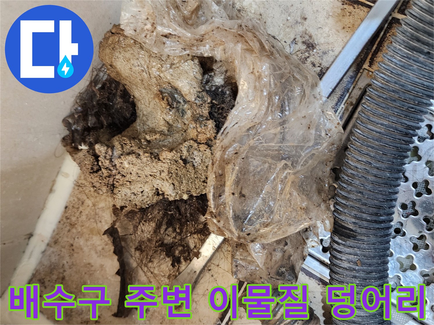 화장실 배수관 주변에 머리카락과 오염물이 뒤섞여 있는 상태입니다.