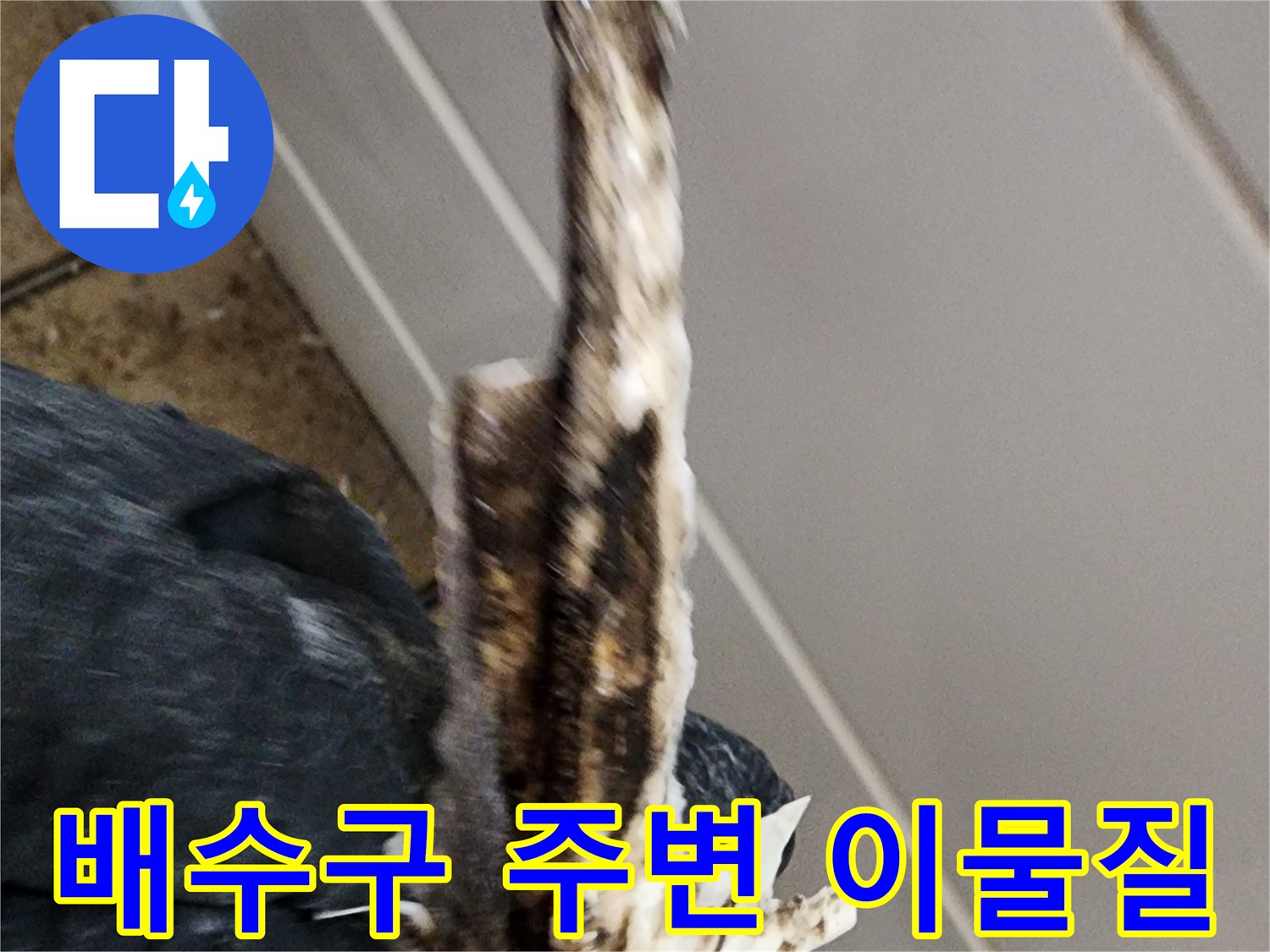 화장실-배수구-유가-주변에-쌓인-오염물과-이물질-상태