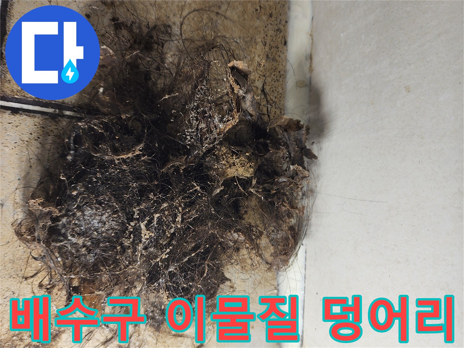 화장실 배수구 주변에 쌓인 머리카락과 오염된 이물질 덩어리