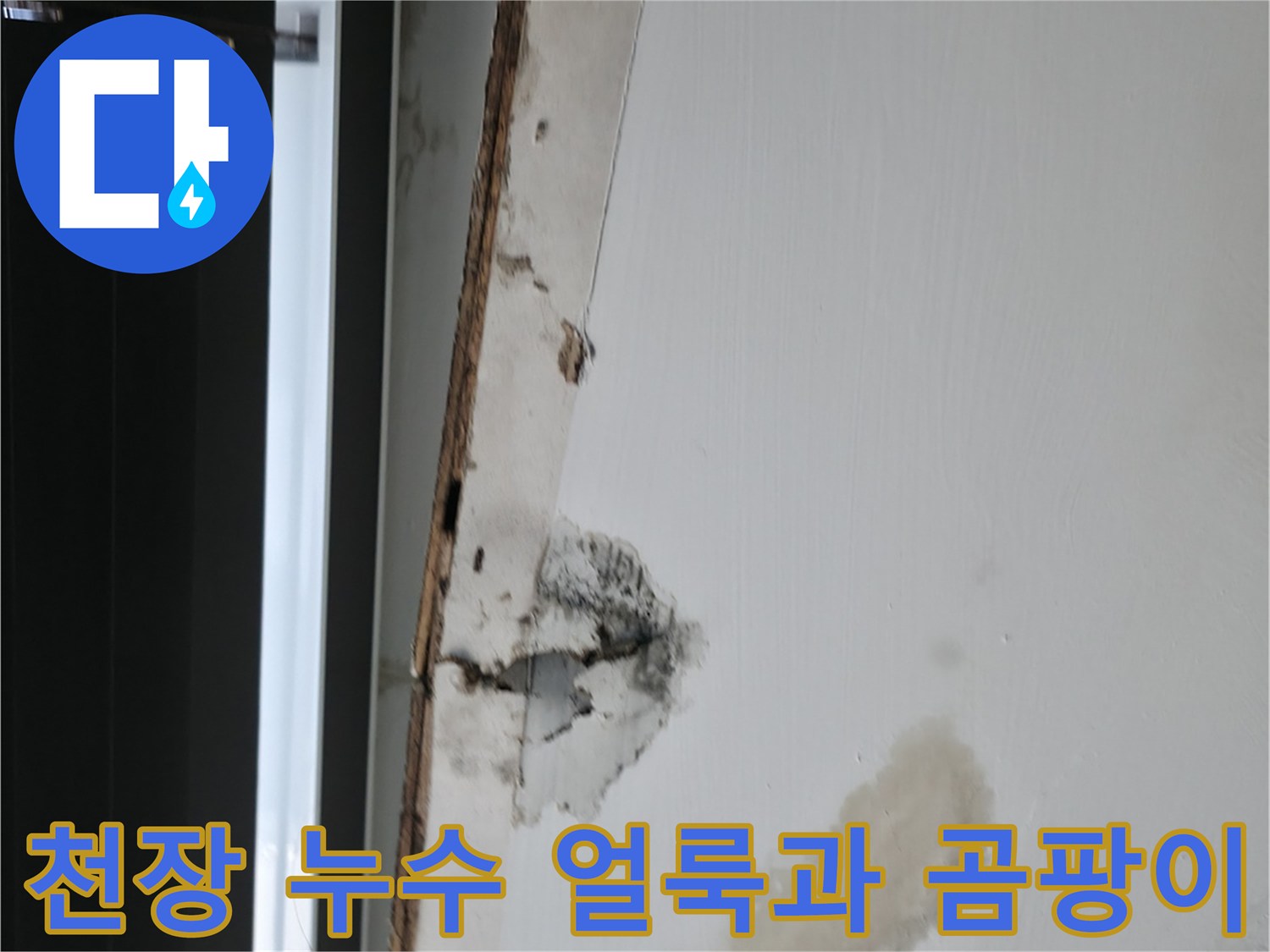 사무실 내부 천장-물샘으로 인한 습기와 곰팡이 발생