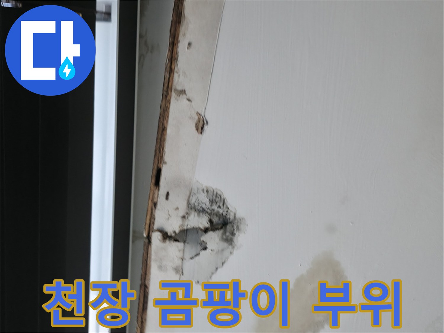 천장-마감재-틈새로-보이는-누수-및-곰팡이-상태