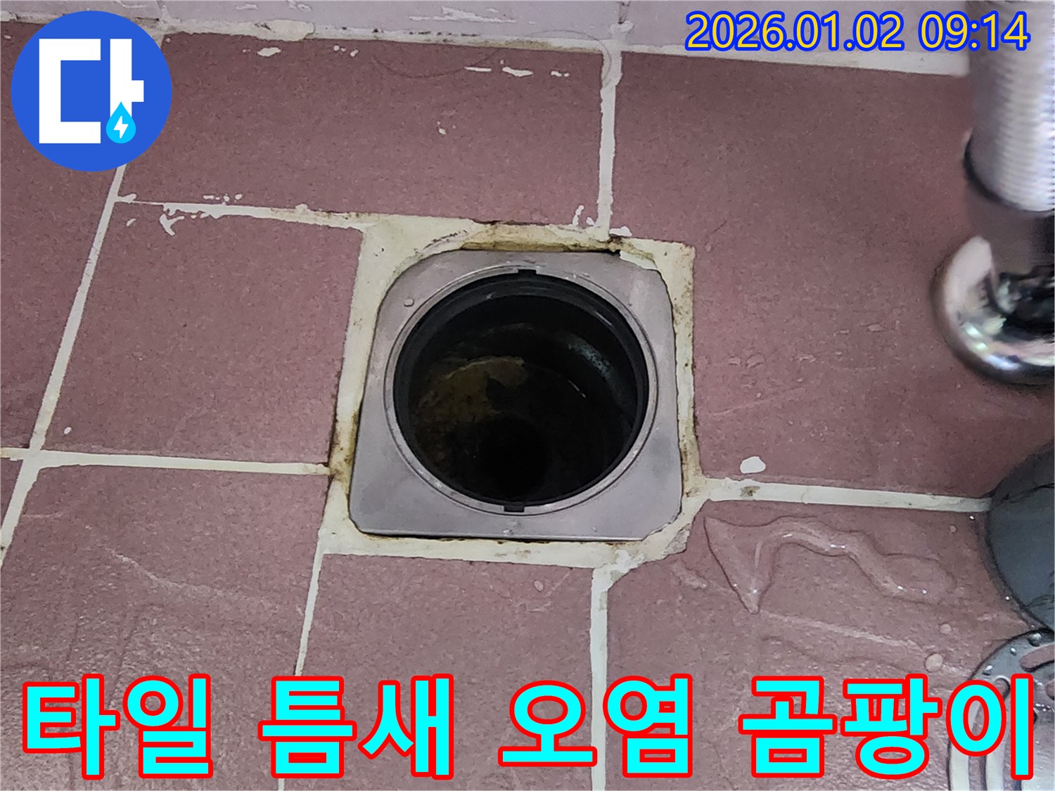 상계9동 욕실 배수구 - 타일 틈새 오염, 곰팡이 발생 및 누수 위험 증가