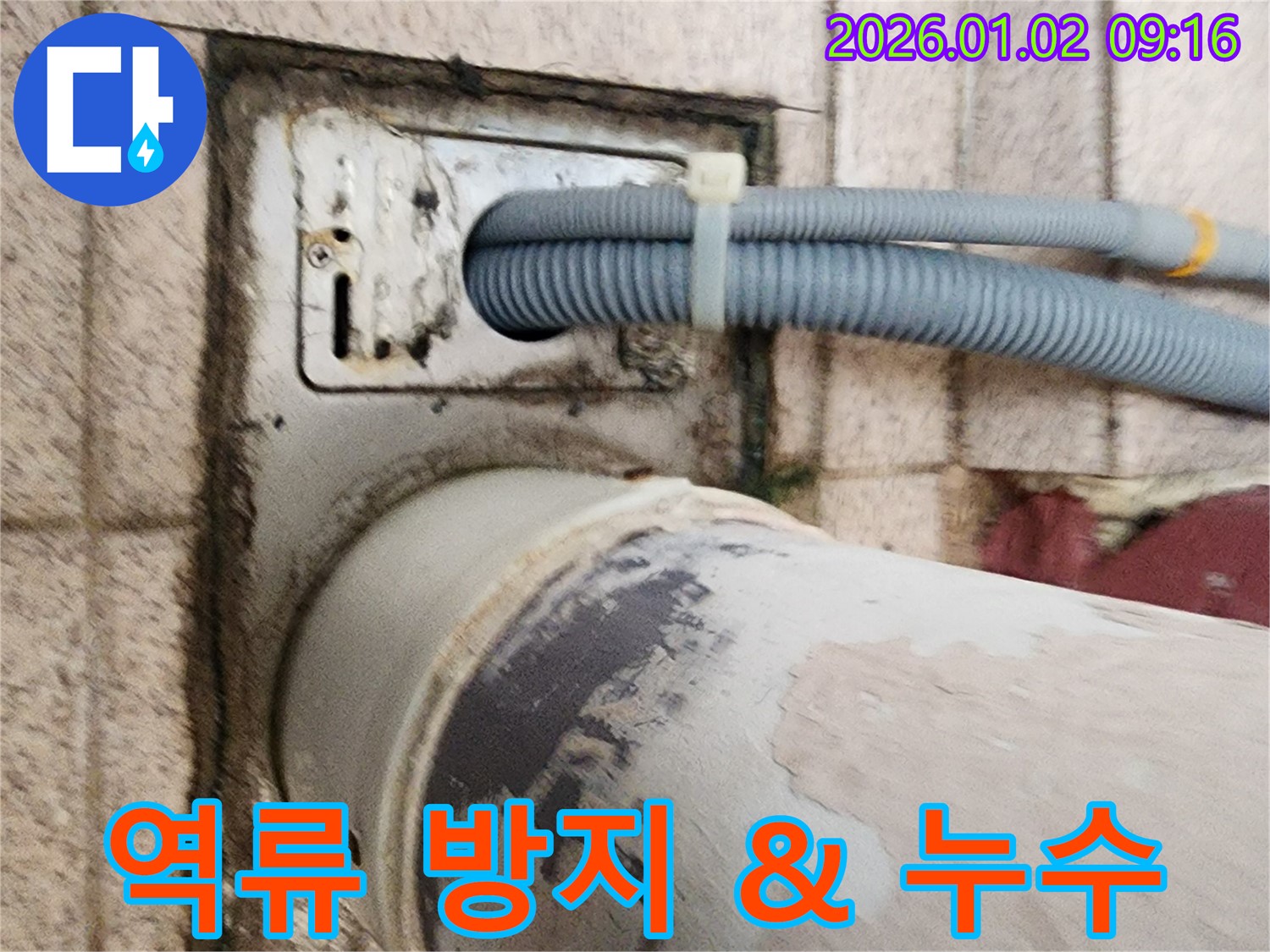 세탁기 배수구 역류 및 누수 - 배수구 역류를 방지하고 누수를 해결해야 합니다. 배수구 청소와 누수 보수를 병행합니다.