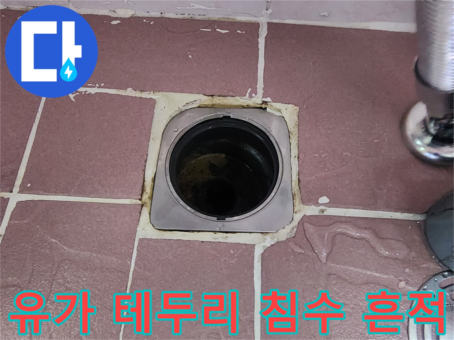 화장실-배수구-주변-타일-사이-물침투-현상