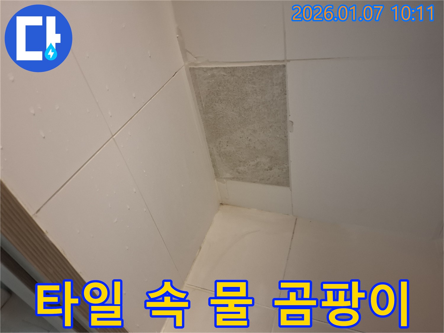 용인 모현읍 누수 - 타일 속에 숨겨진 물은 곰팡이의 온상이 될 수 있습니다.