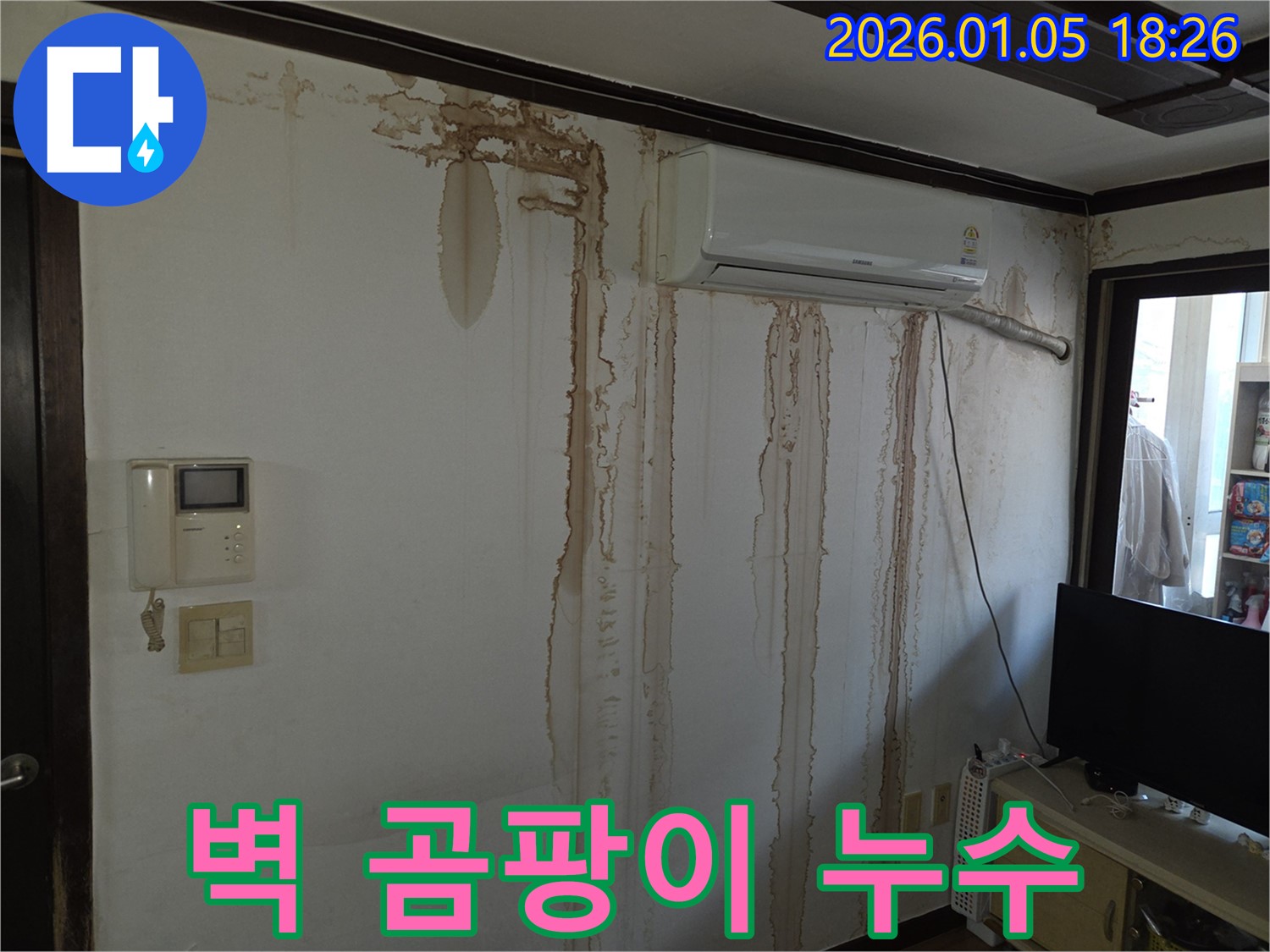벽에 곰팡이가 핀 모습 - 누수로 인한 곰팡이 발생입니다. 곰팡이 제거와 누수 해결이 필요합니다.
