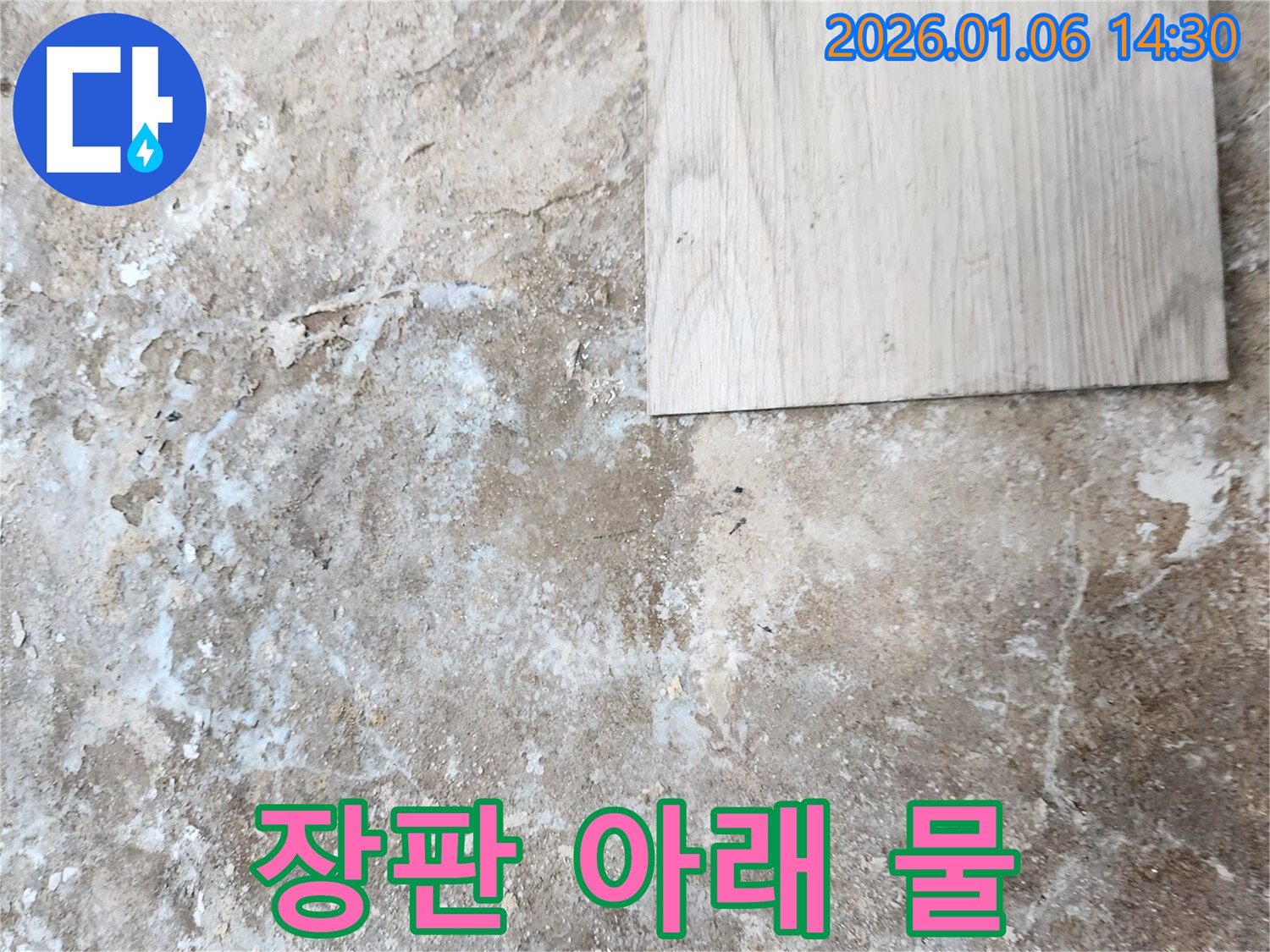 생연동 누수 - 장판 아래 물, 끔찍한 누수 현장