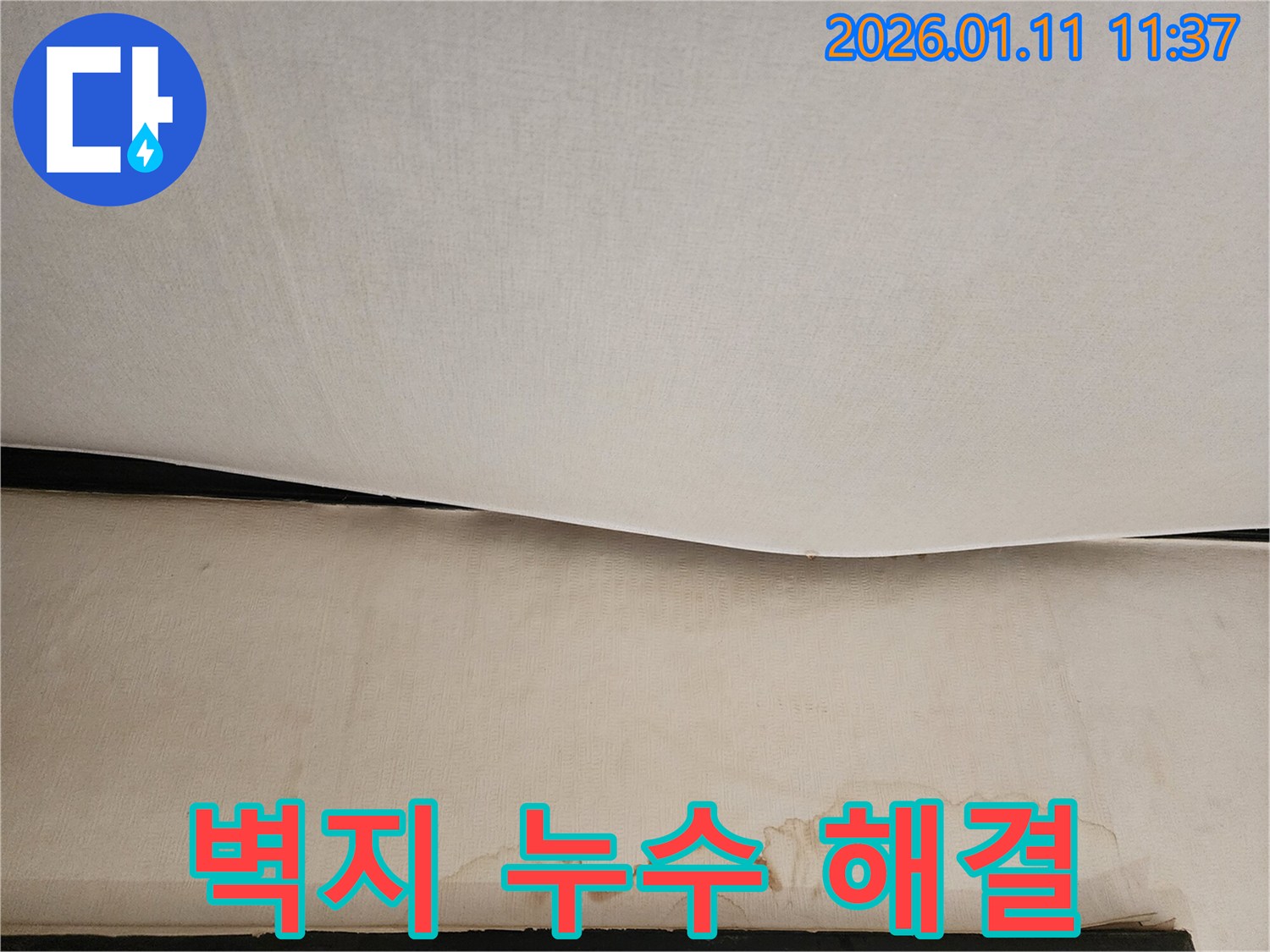 벽지 누수 해결 - 꼼꼼한 진단과 완벽한 시공, 이제 누수 걱정은 끝입니다!