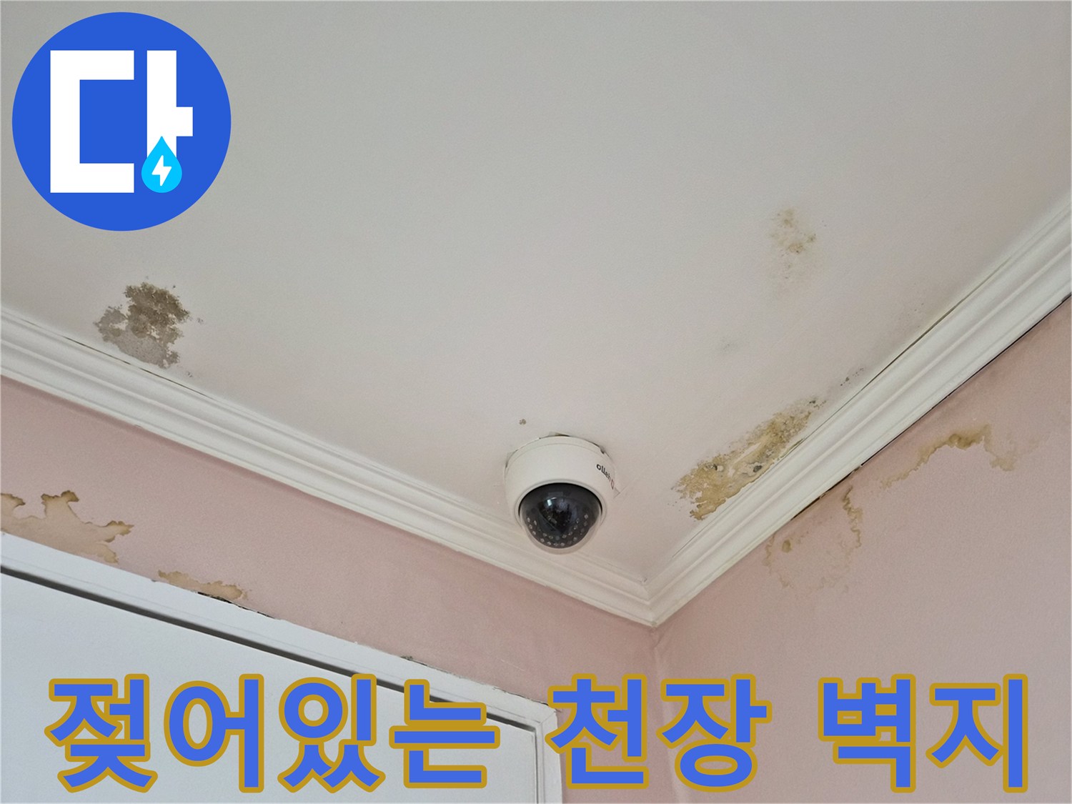 물기에-젖어-변색된-천장-도배지와-곰팡이