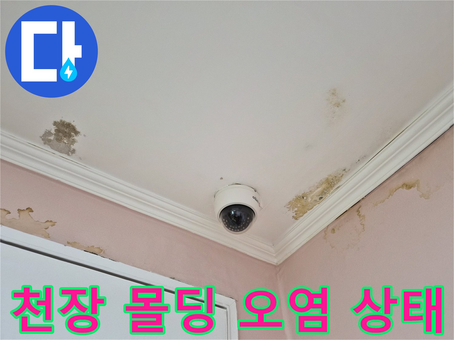 천장-몰딩-주변의-심한-물자국과-오염된-벽면