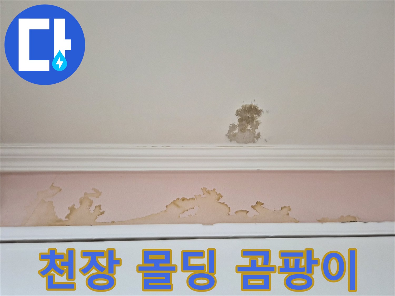 천장과 벽면 경계 부위의 심한 변색 및 오염