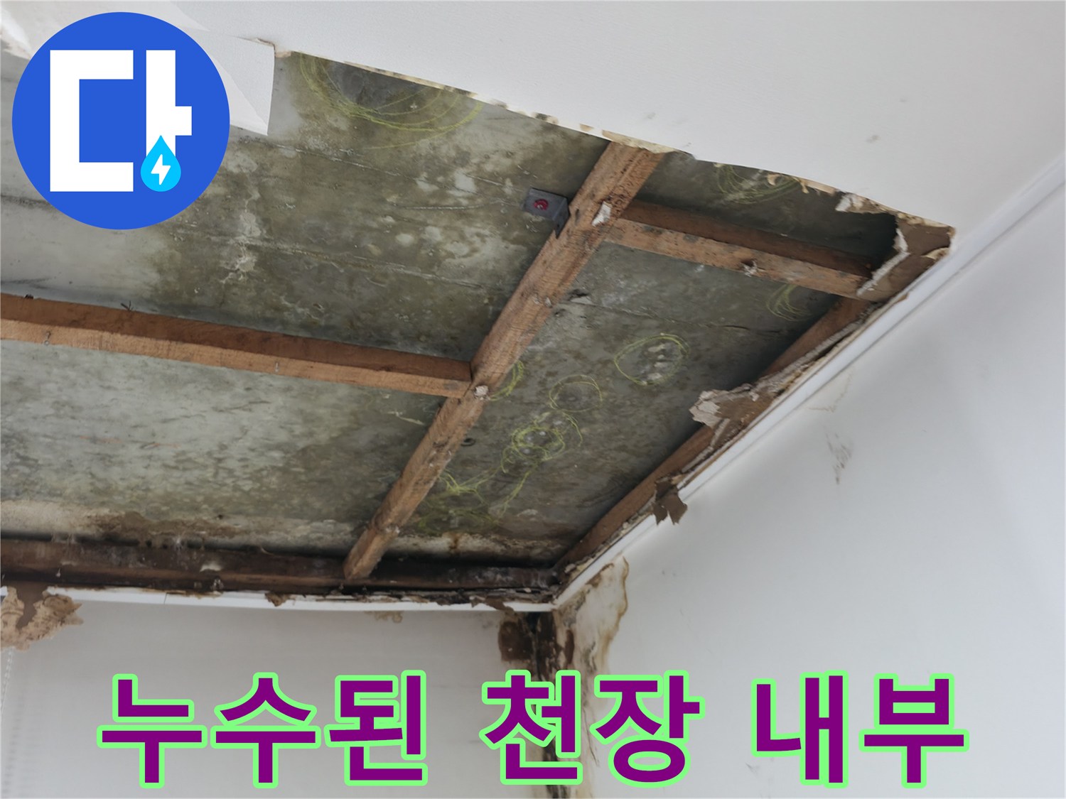 천장 마감재 제거 부위의 젖은 슬래브와 곰팡이 현상