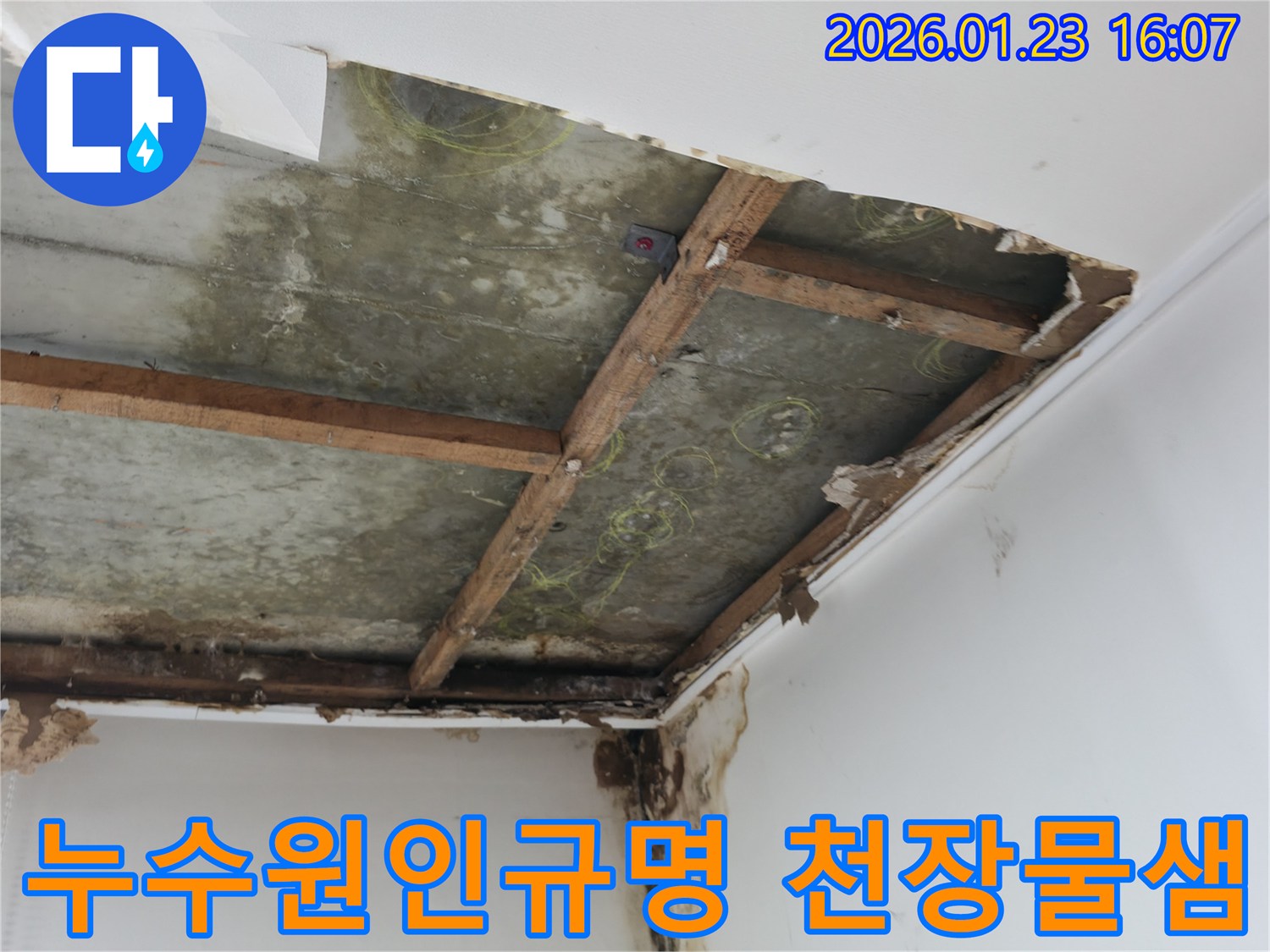 천장-누수-발생-지점을-정확히-파악하고-수리-계획을-수립하는-전문가의-모습