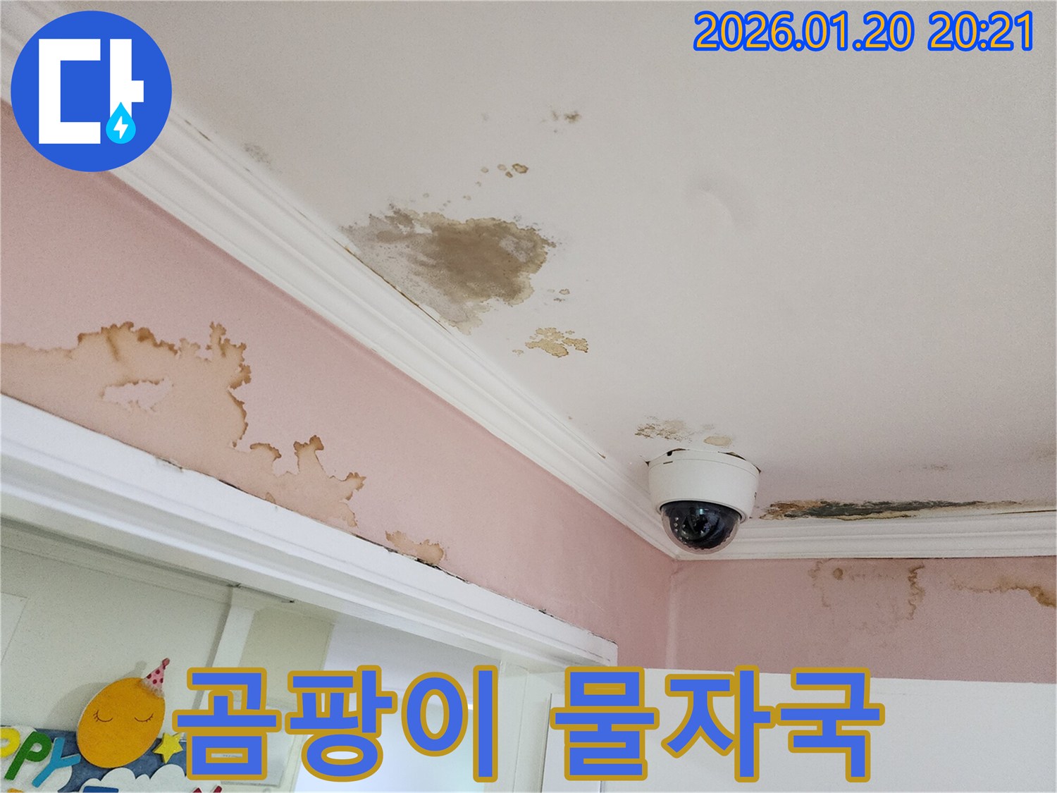 강남구 도곡동 누수 현장에서 발견된 곰팡이와 물자국 - 건강을 위협하는 누수 문제 해결