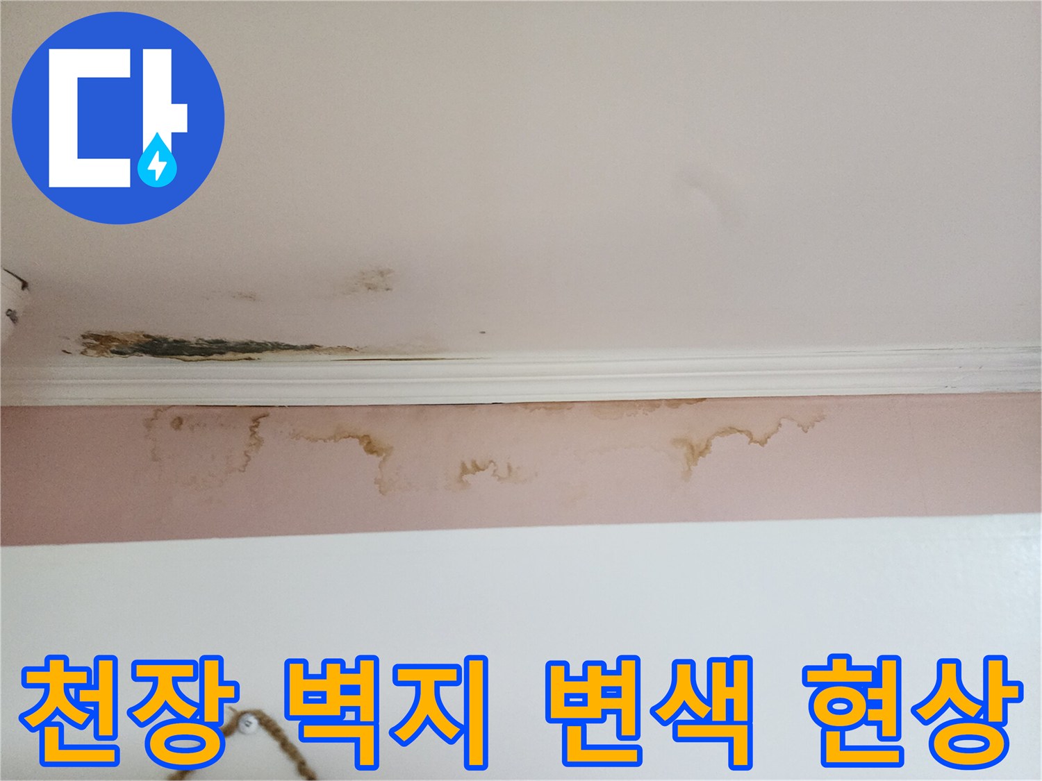 아래층 천장 몰딩 부근-누수로 인한 벽지 오염 상태
