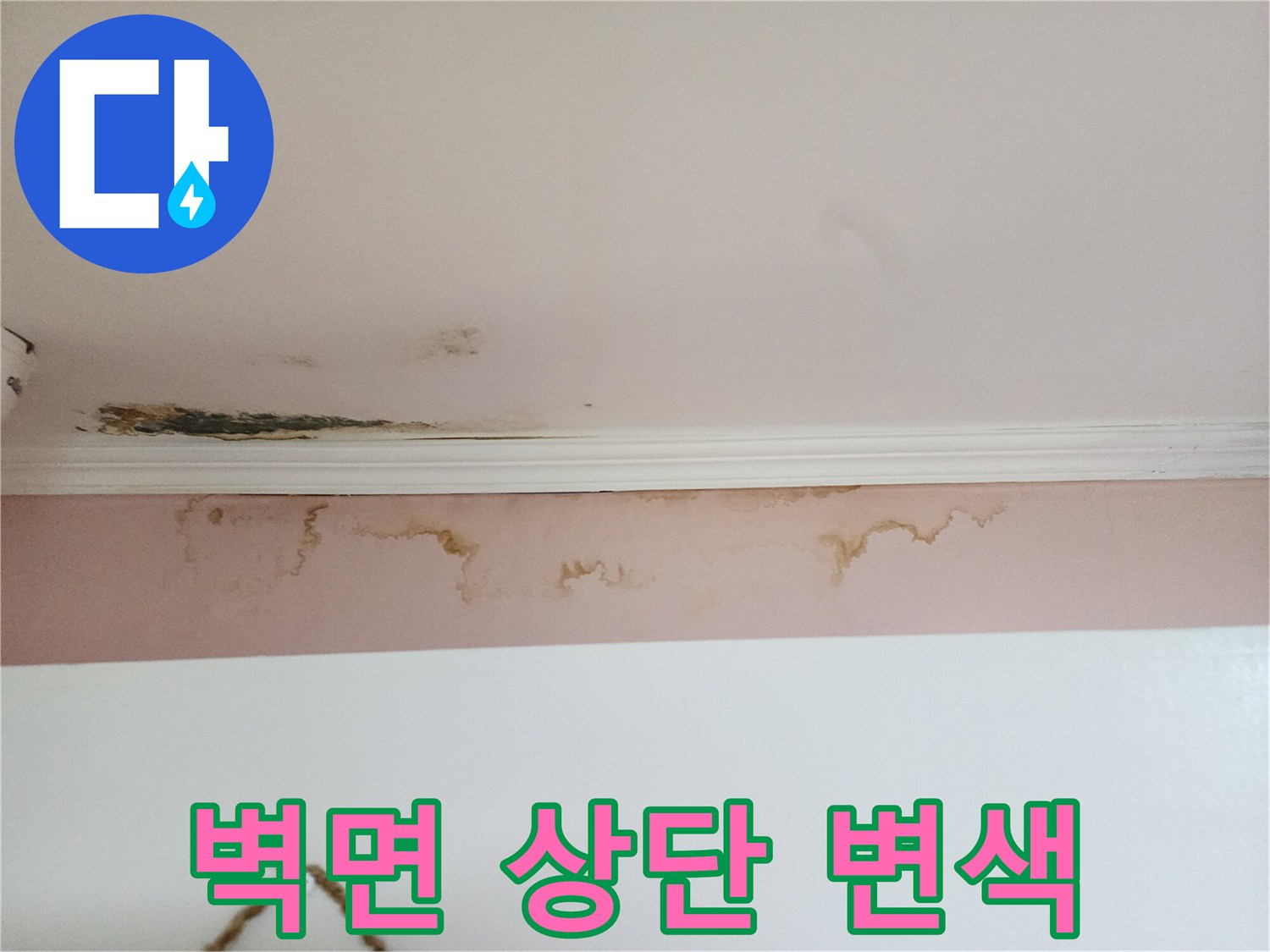 천장과 벽면 경계의 젖은 얼룩 및 곰팡이