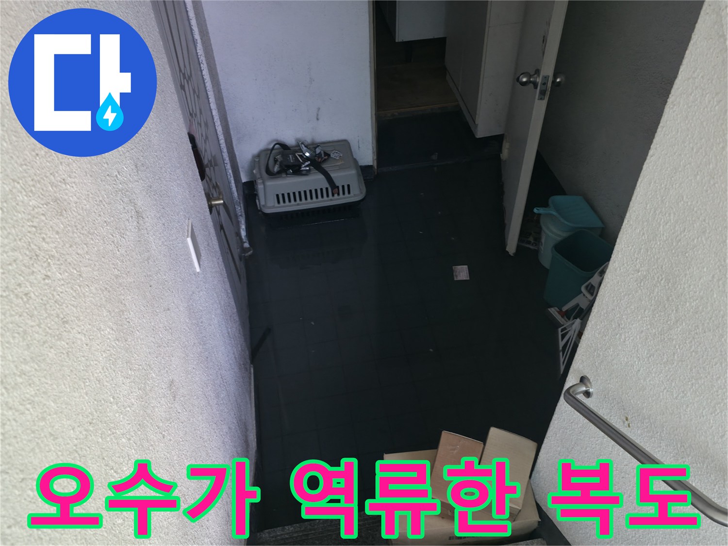 복도 바닥에-오수가-역류하여-고여있는-모습