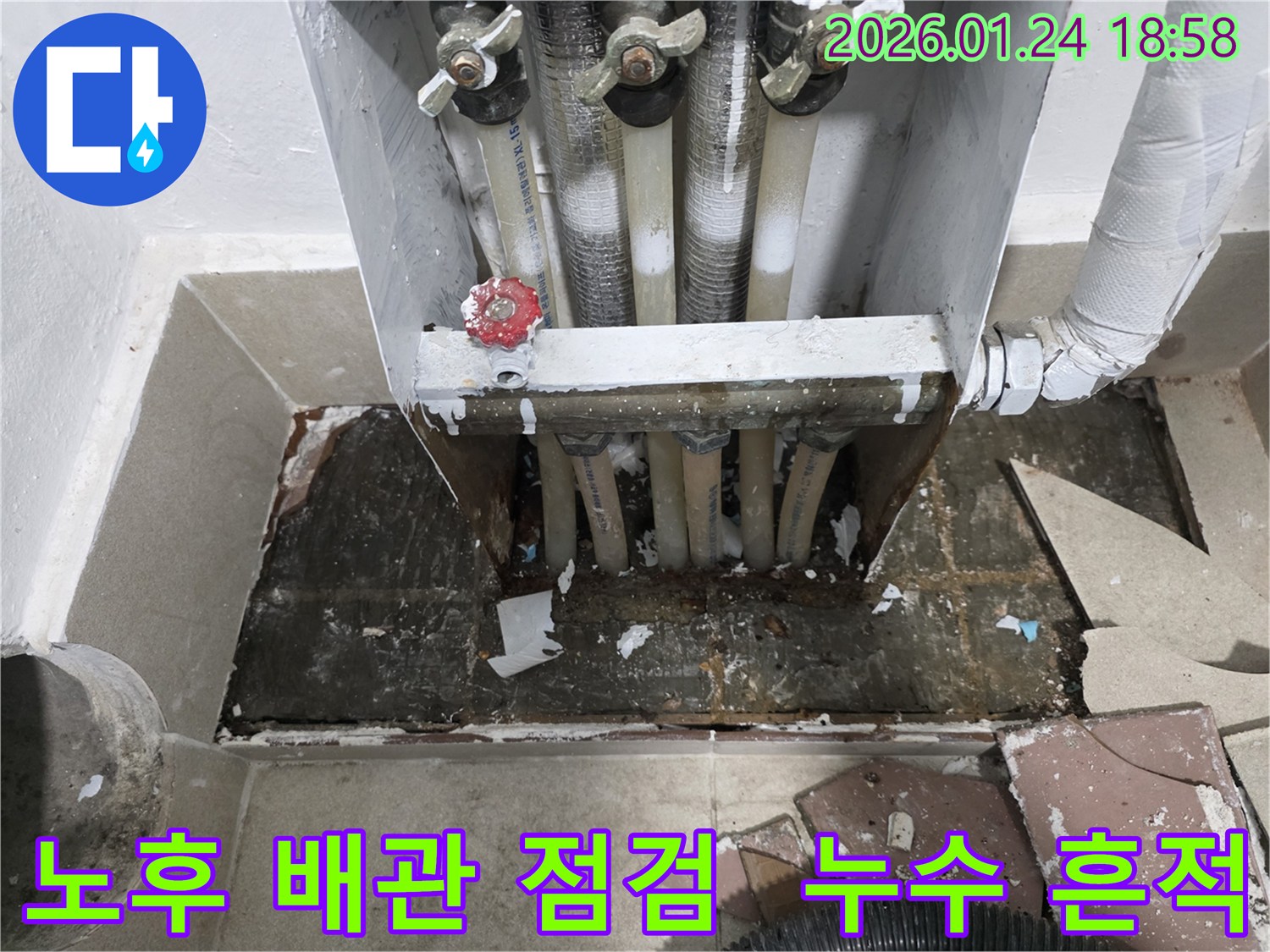 연수구 동춘동 노후 배관 누수 현장 - 전체적인 배관 상태를 점검하며 누수 흔적을 확인했습니다.