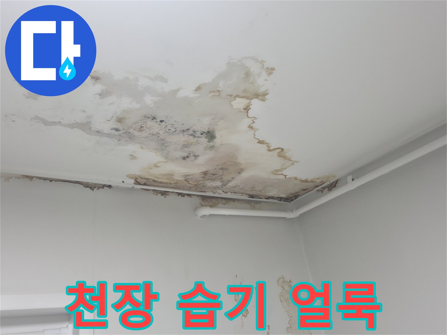 습기로 인해 변색되고 눅눅해진 천장 마감 부위