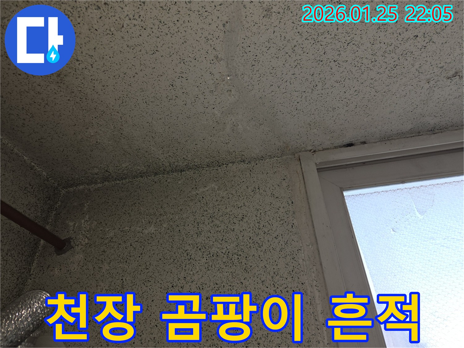 누수로 인해 천장과 벽면에 번식한 검은 곰팡이-건강에 해로운 환경을 보여주는 사진