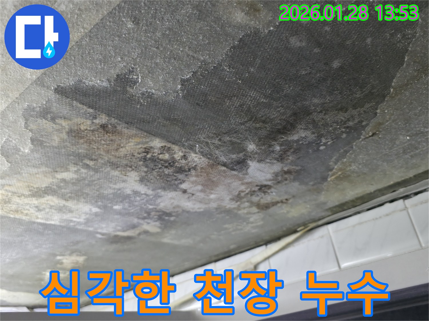 부천 원미구 아파트 천장 누수-심각한 물 얼룩과 곰팡이-손상된 천장 마감재를 보여주는 사진