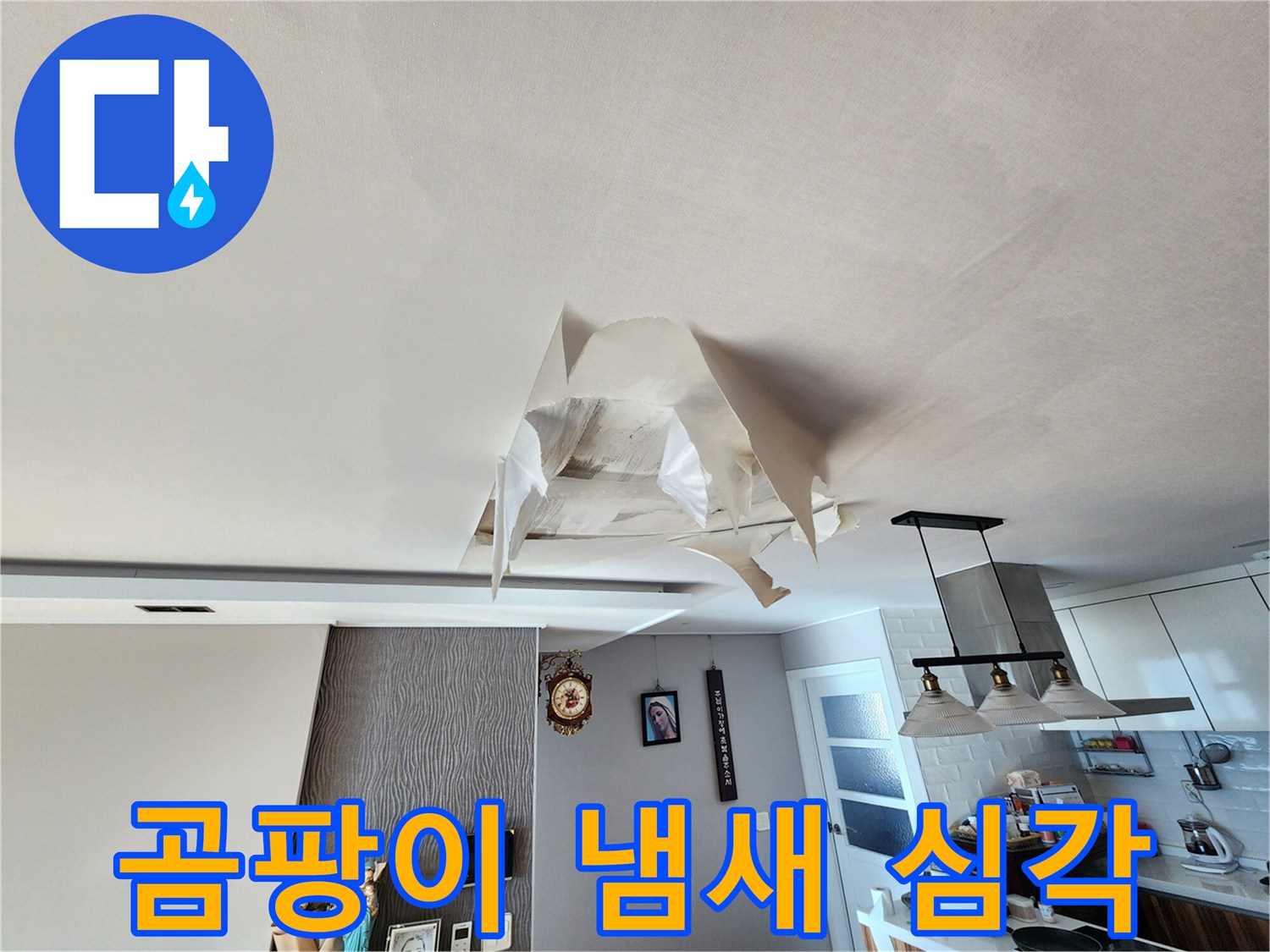 천장 누수 - 곰팡이 냄새 - 건강 위협 - 즉시 해결