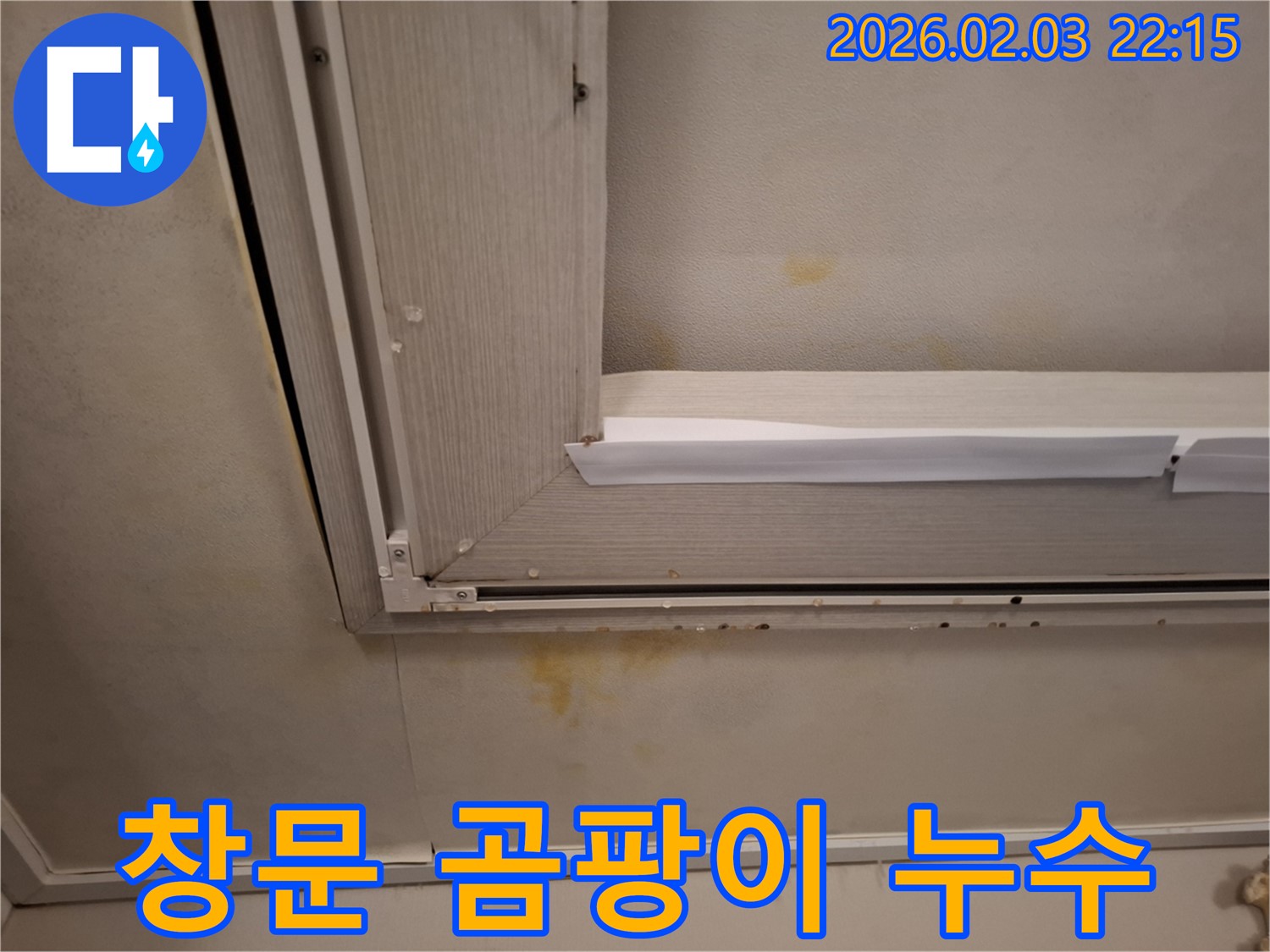창문 주변 벽지 곰팡이와 누수 - 곰팡이 제거와 누수 해결을 동시에!