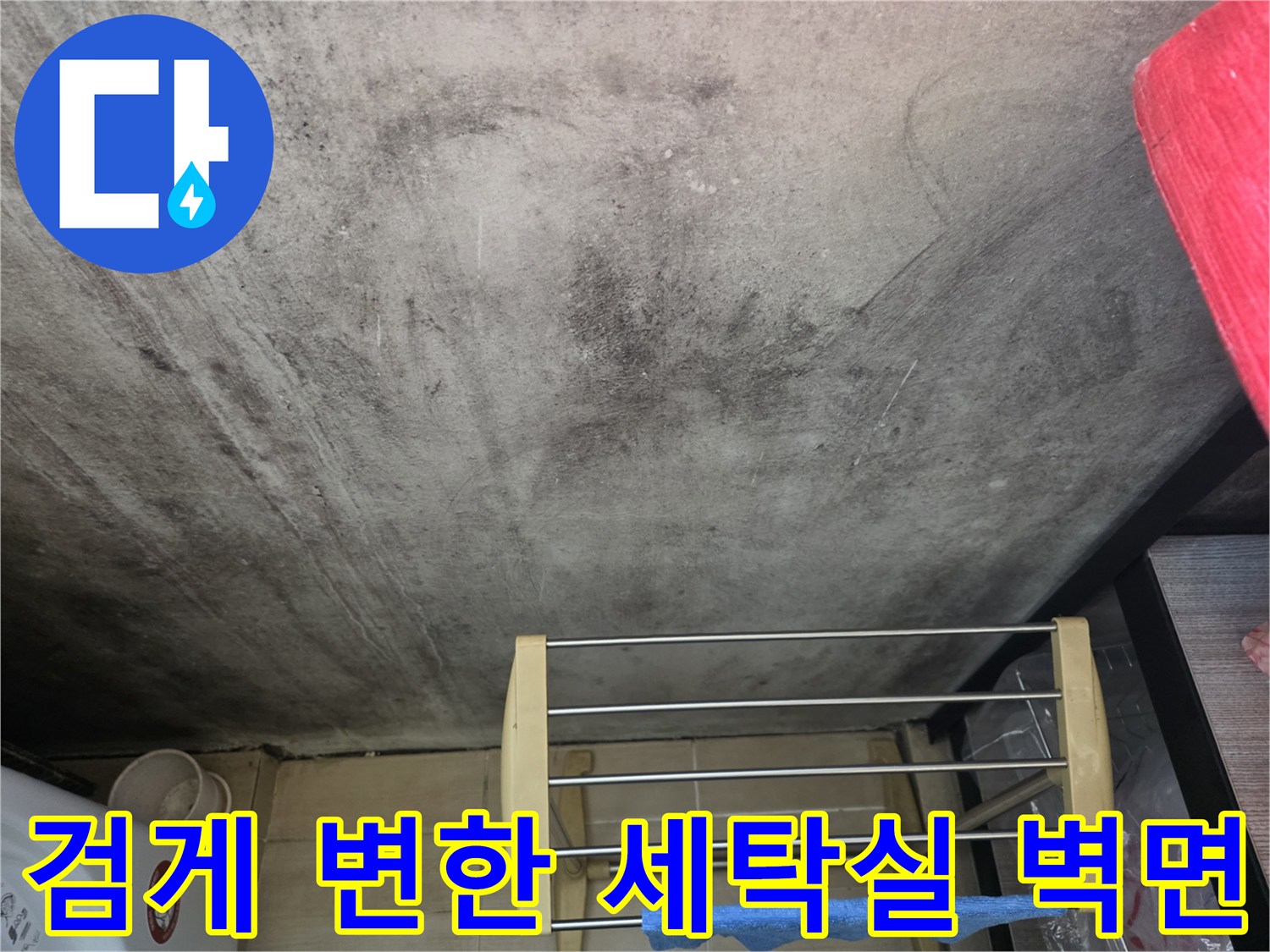 누수 영향으로 인해 곰팡이가 피어오른 세탁실 벽면 상세 사진