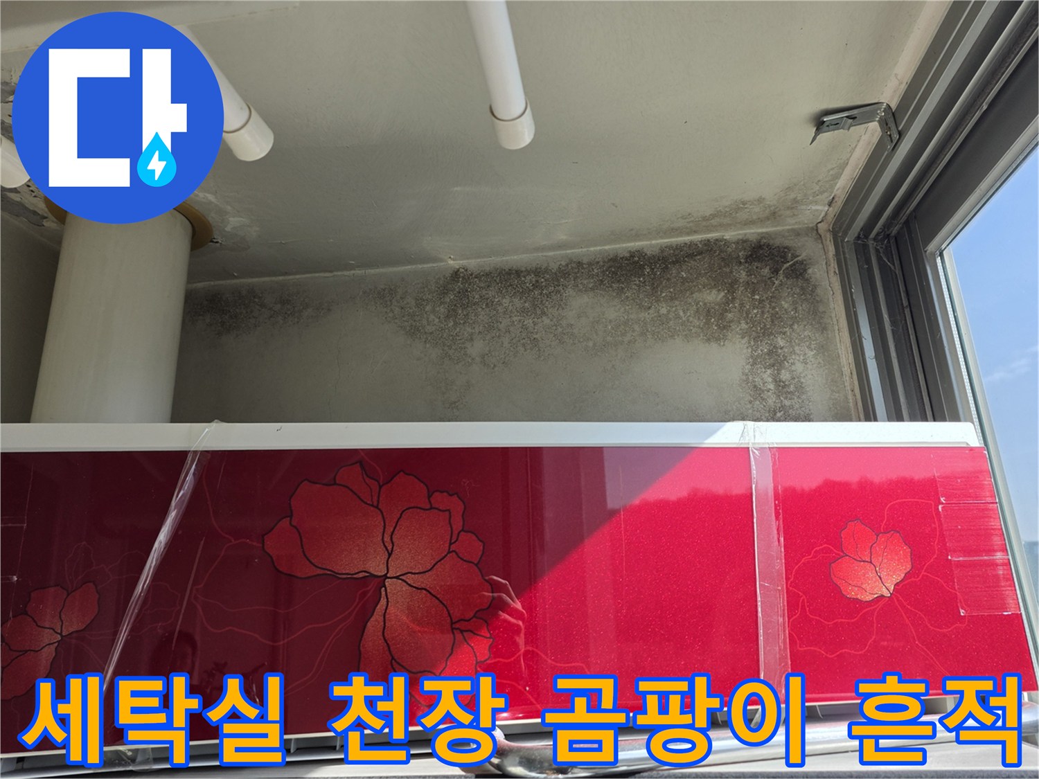 누수로 인한-세탁실 천장 벽면의 곰팡이 및 오염 상태