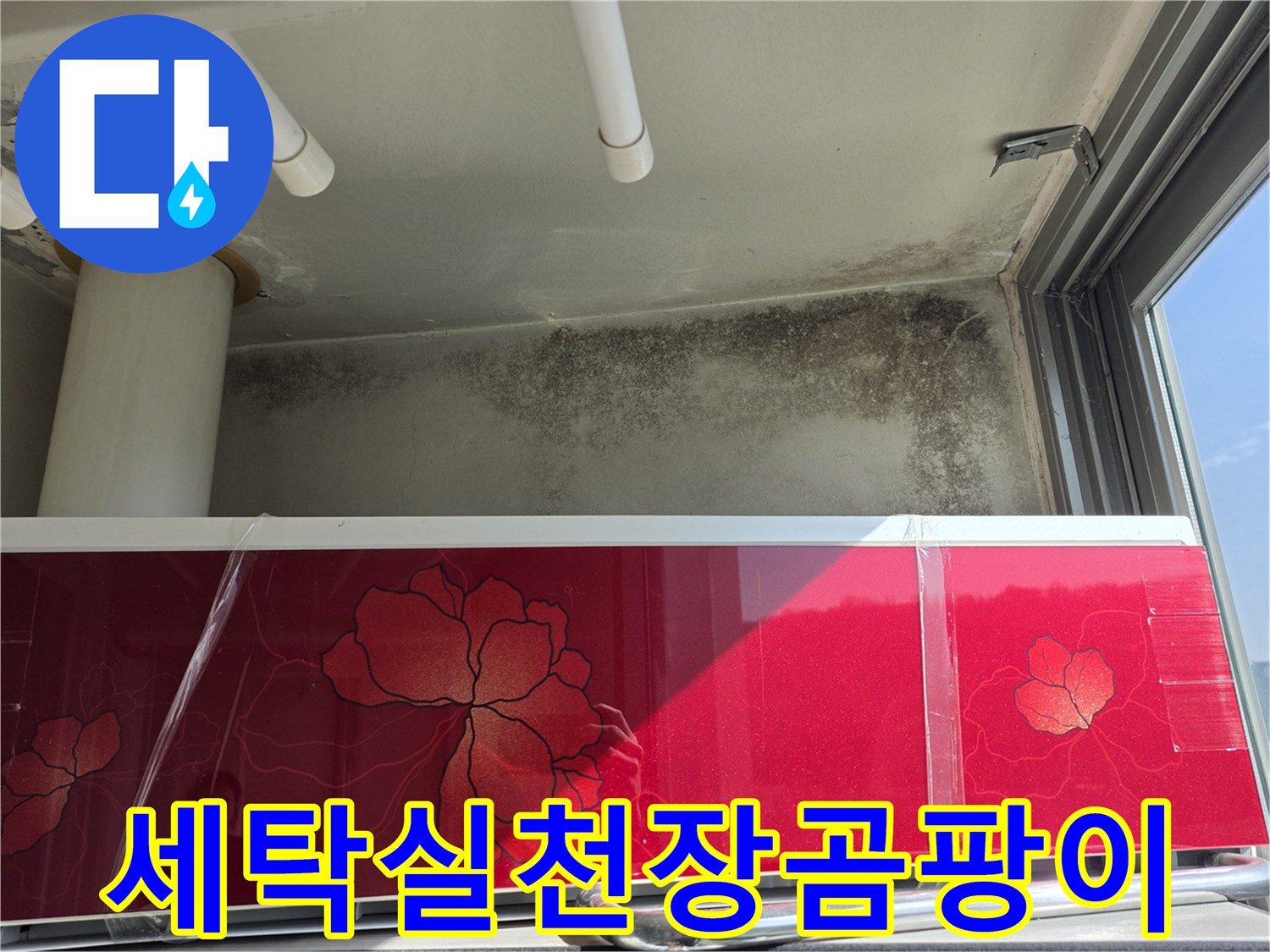 마포구-세탁실-천장-벽면의-곰팡이와-오염-상태