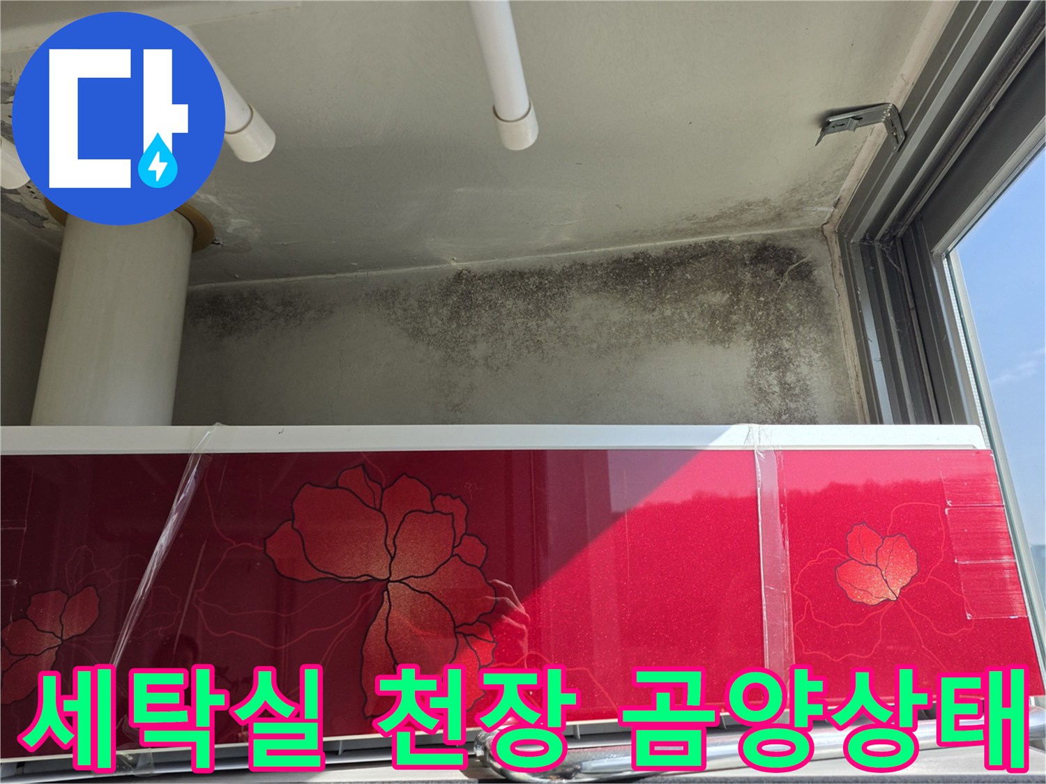 마포구 세탁실-천장 벽면의 곰팡이와 오염 상태를 보여주는 사진