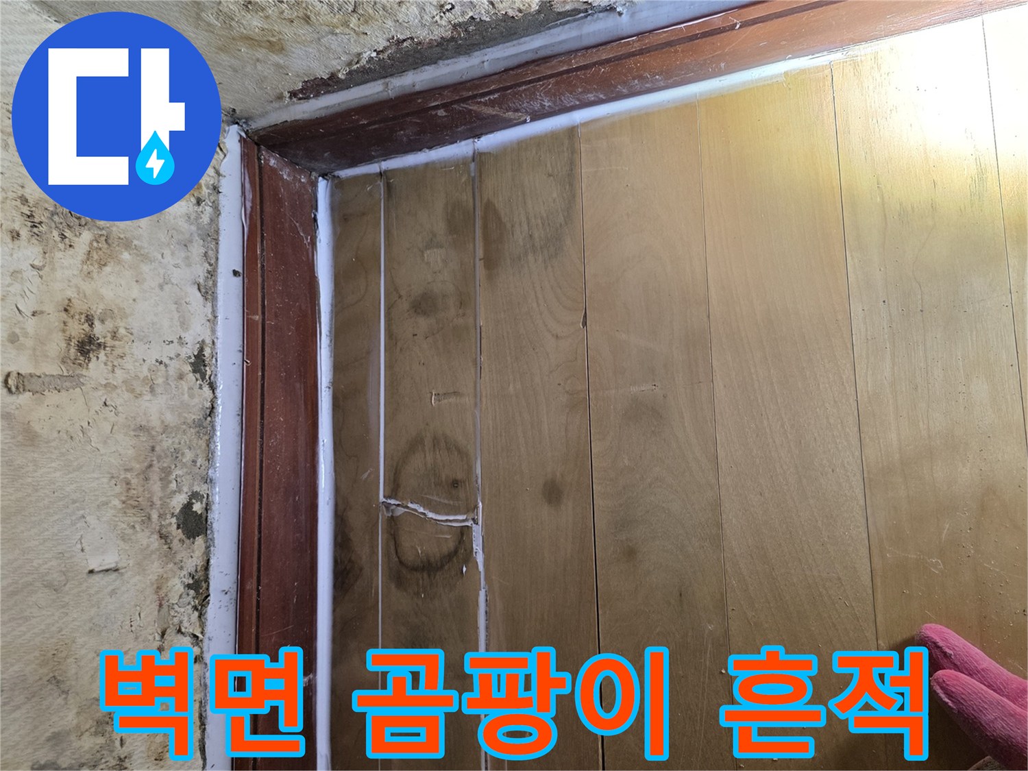벽면 하단부-축축하게 젖어 변색된 마감재와 곰패 현상
